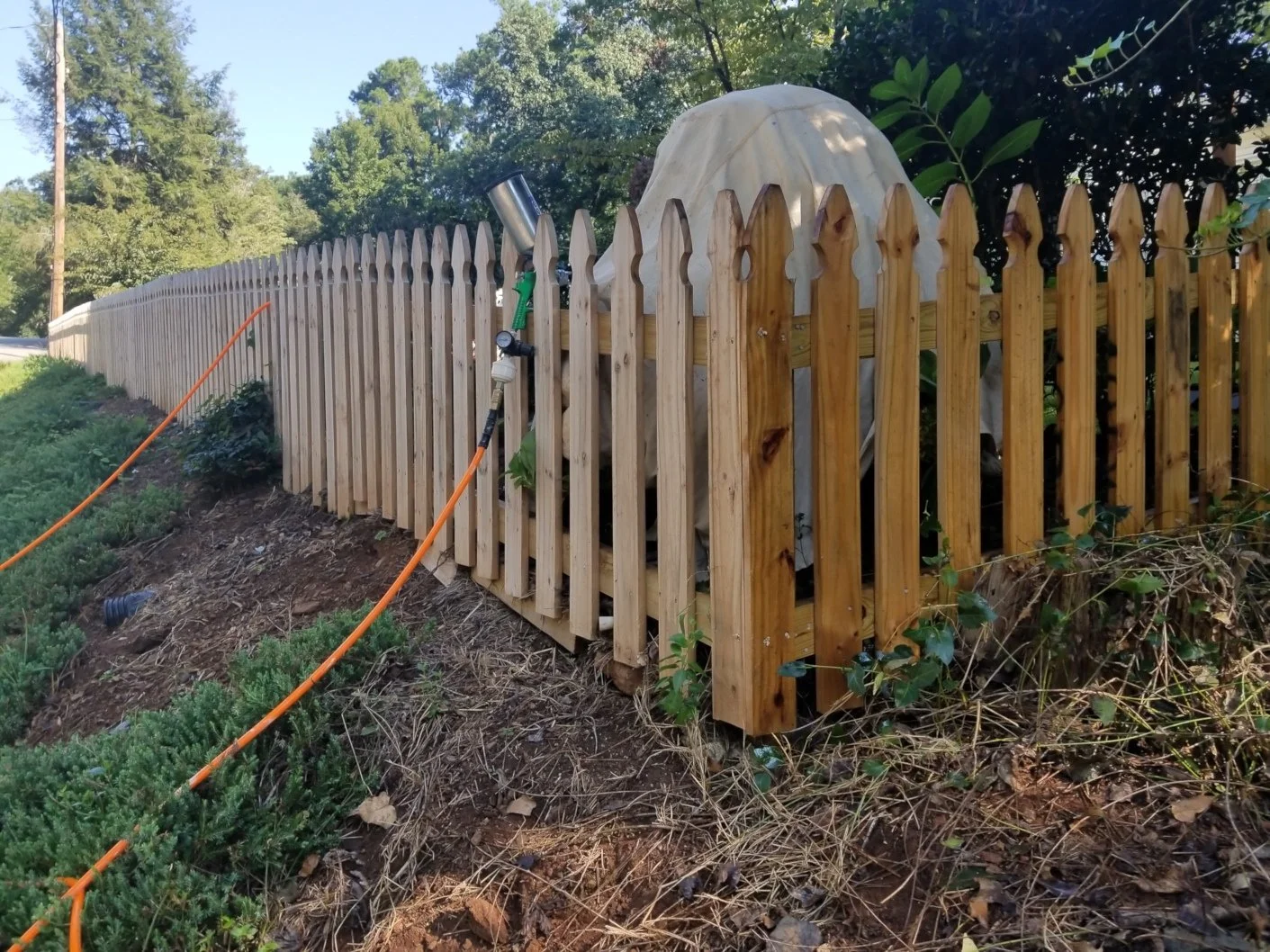 New wooden picket fence alongside a sidewalk with gardening tools nearby, with trees and greenery in the background.