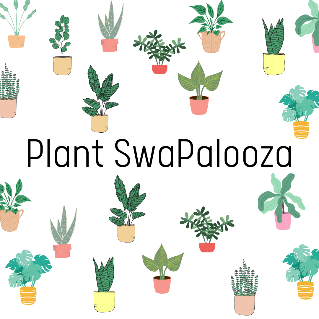 Plant SwaPalooza.png