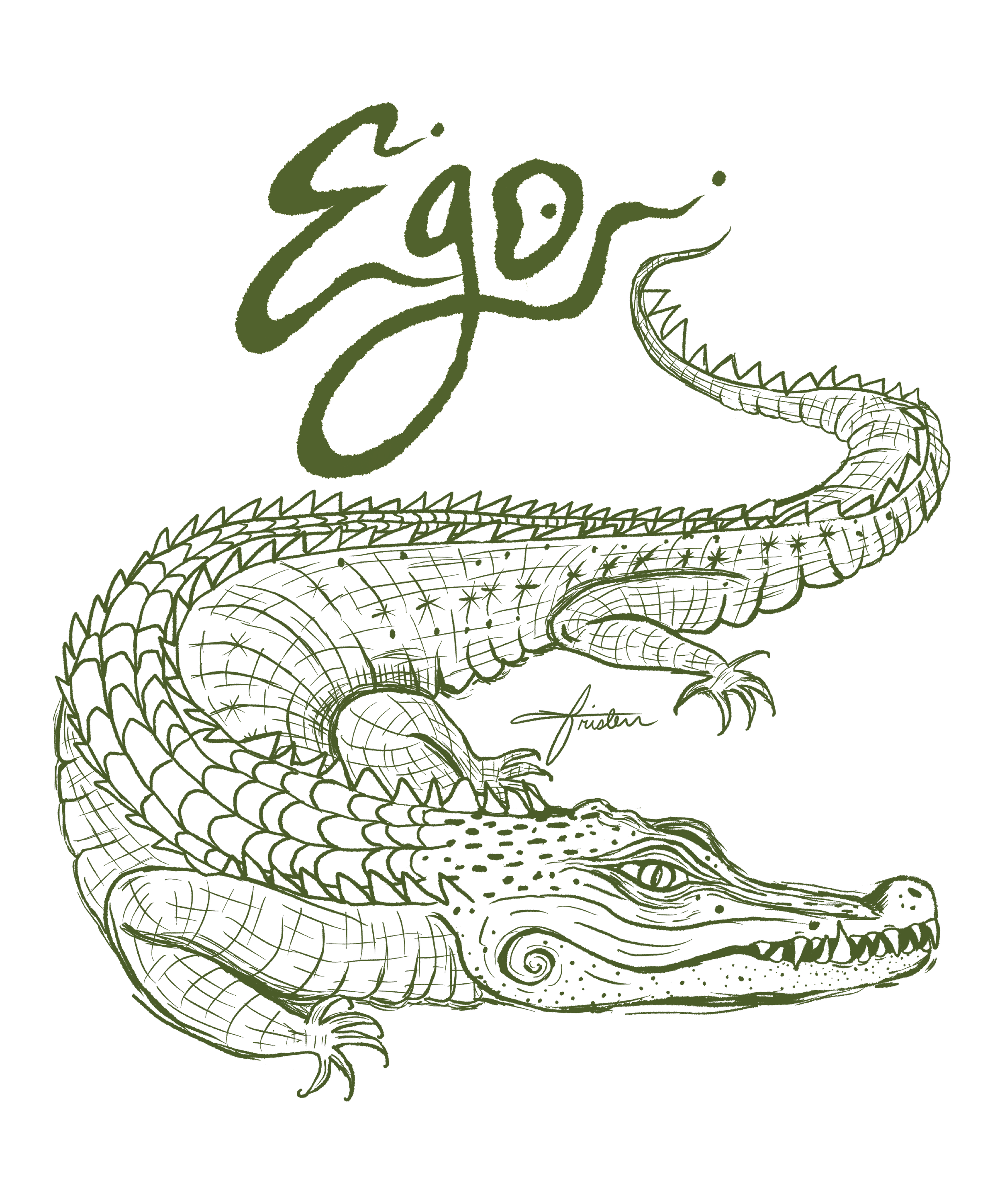 alligator