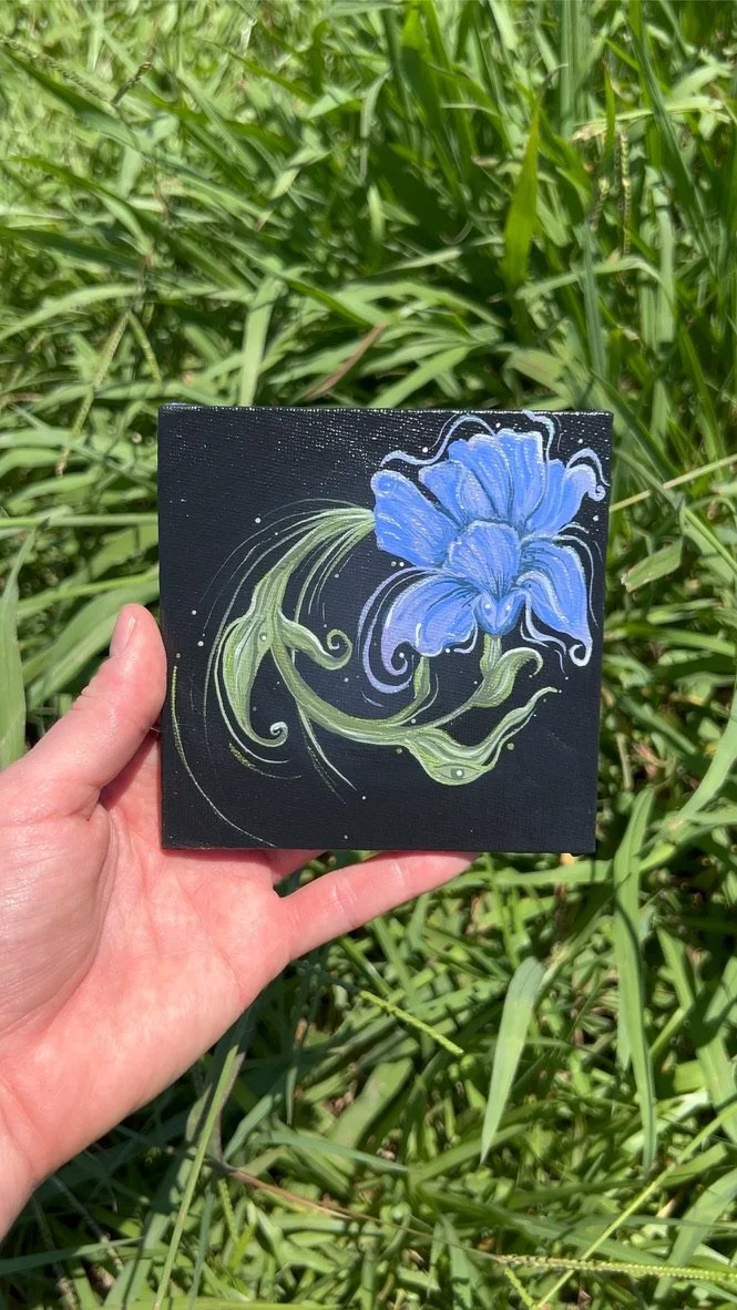 Iris Collection 2024