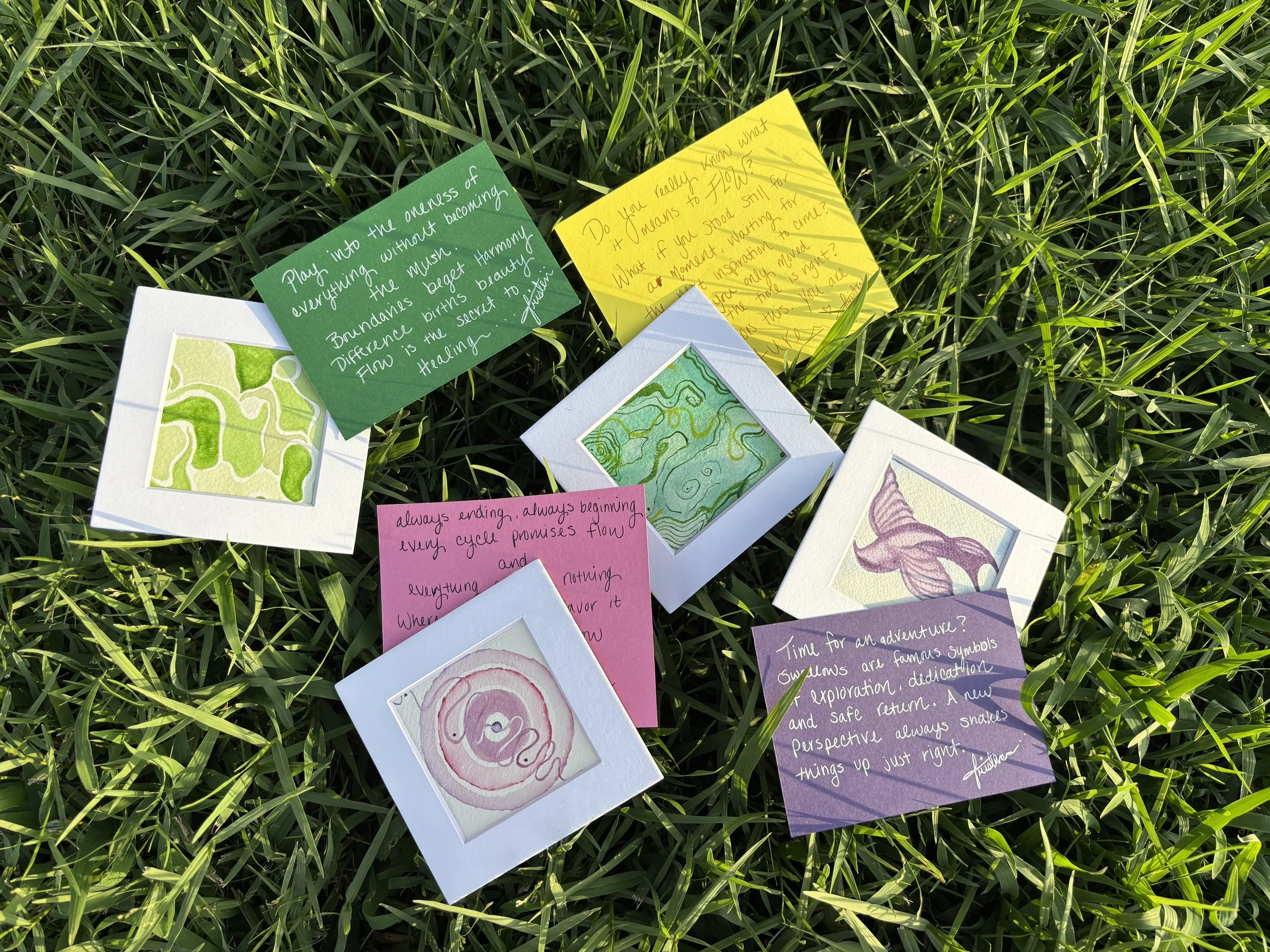 IMG_0293.jpeg