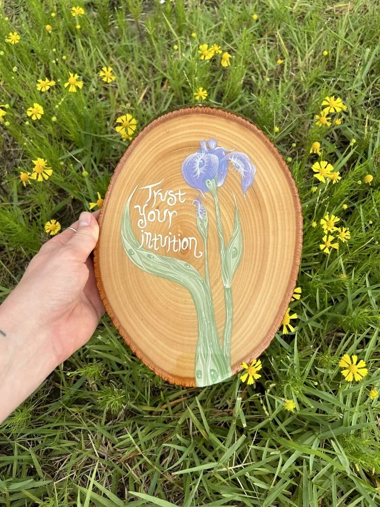 Iris Collection 2024