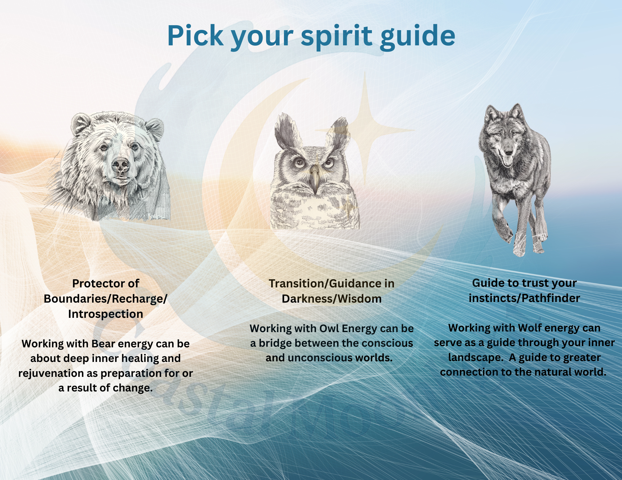 Animal Energy Session Package