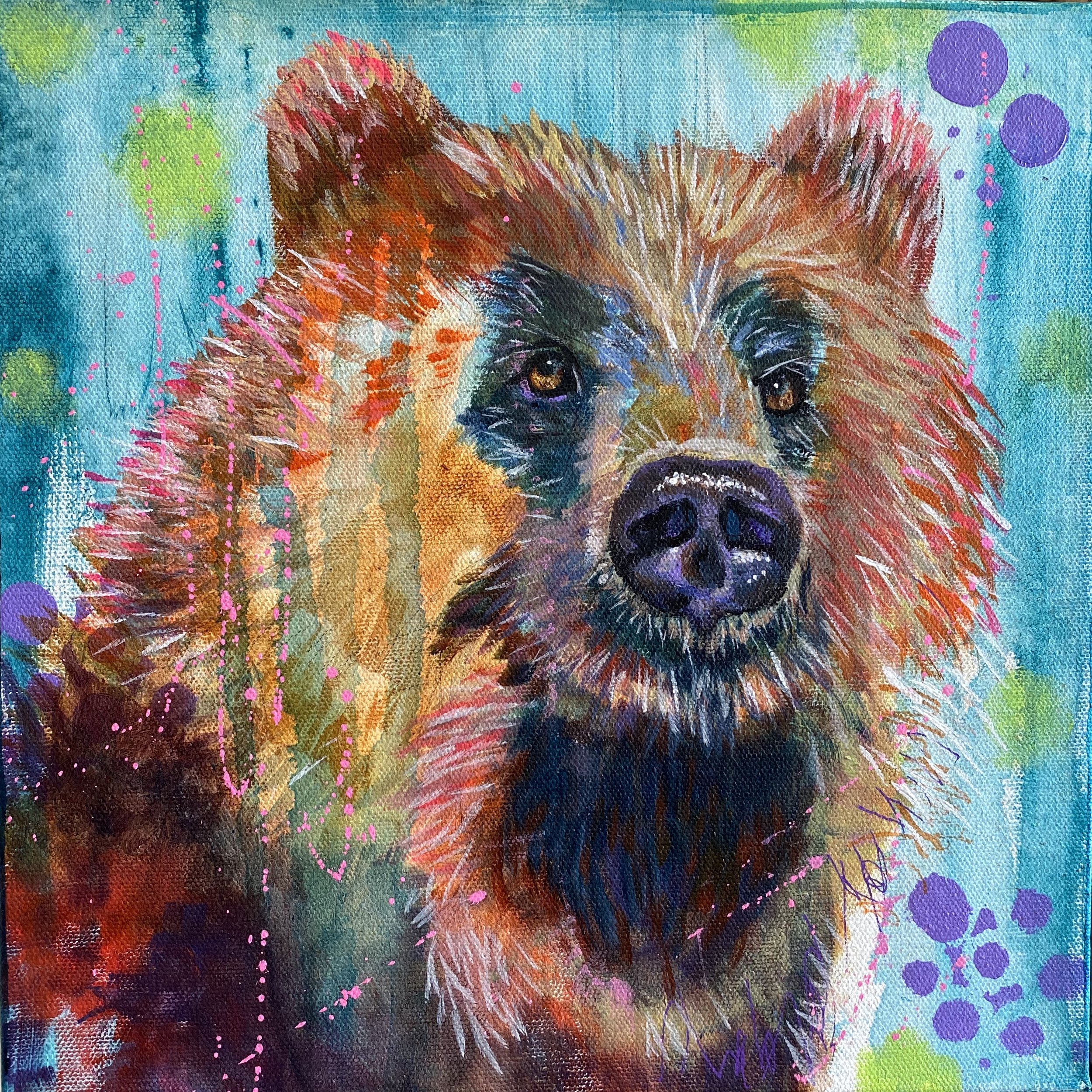 Bear - connect to the stars