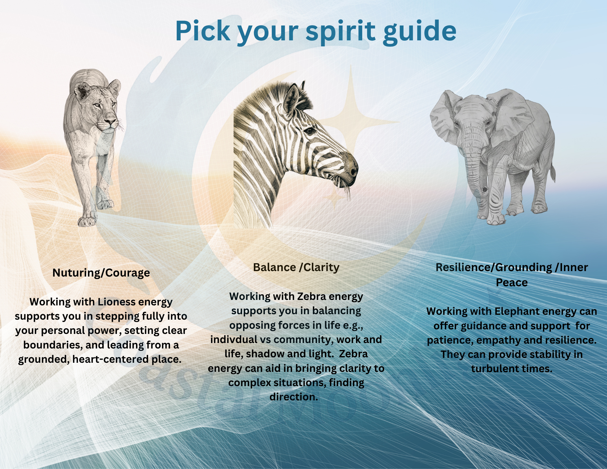 Animal Energy Session