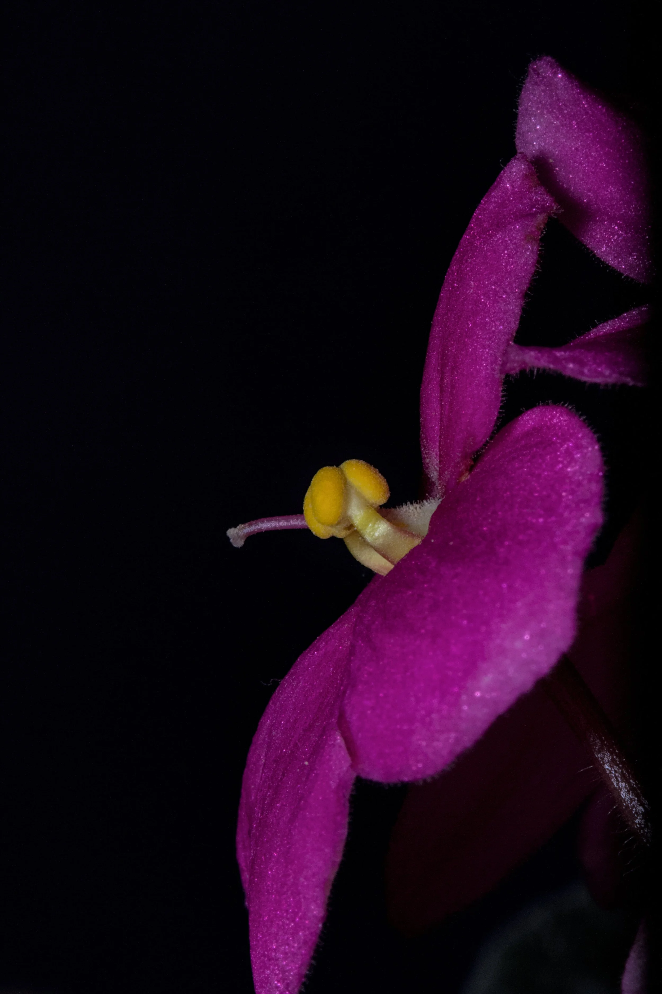 20221217_0003.jpg