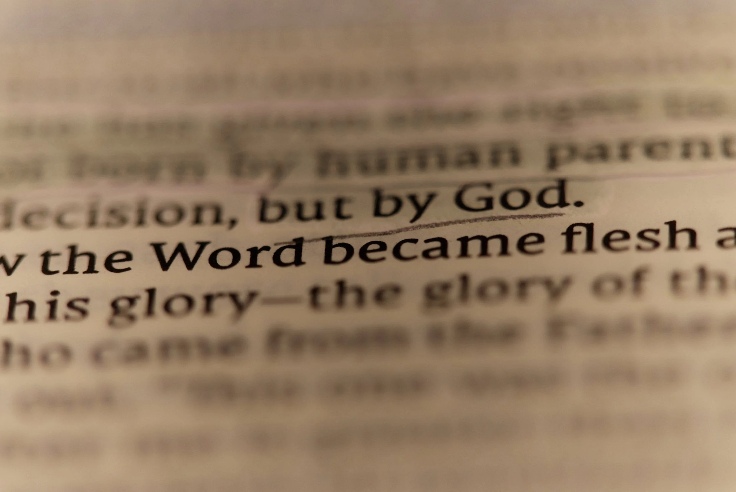 Word became flesh.jpg