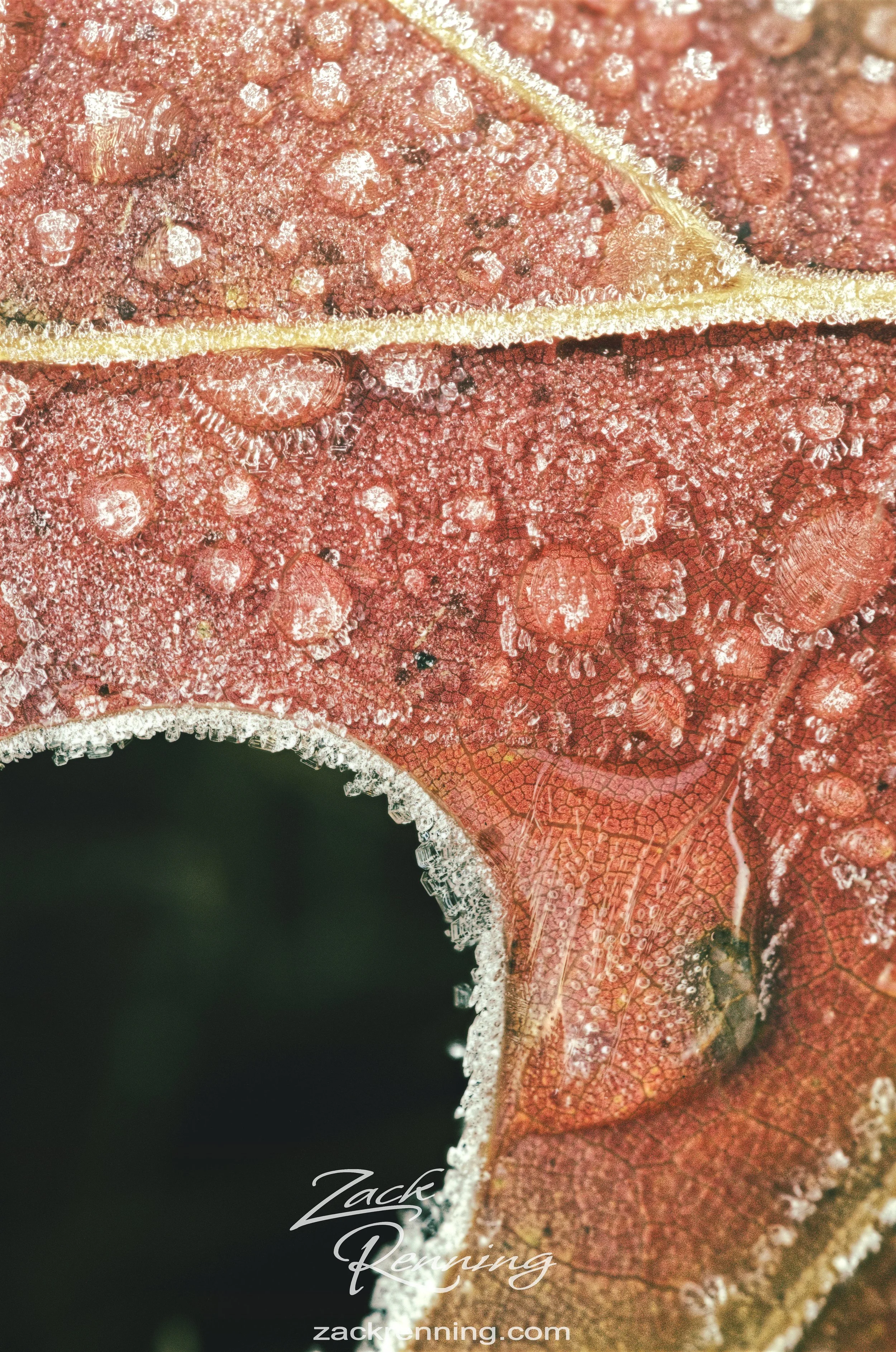 2025-12-02 11-28-35 (C,S4).jpg