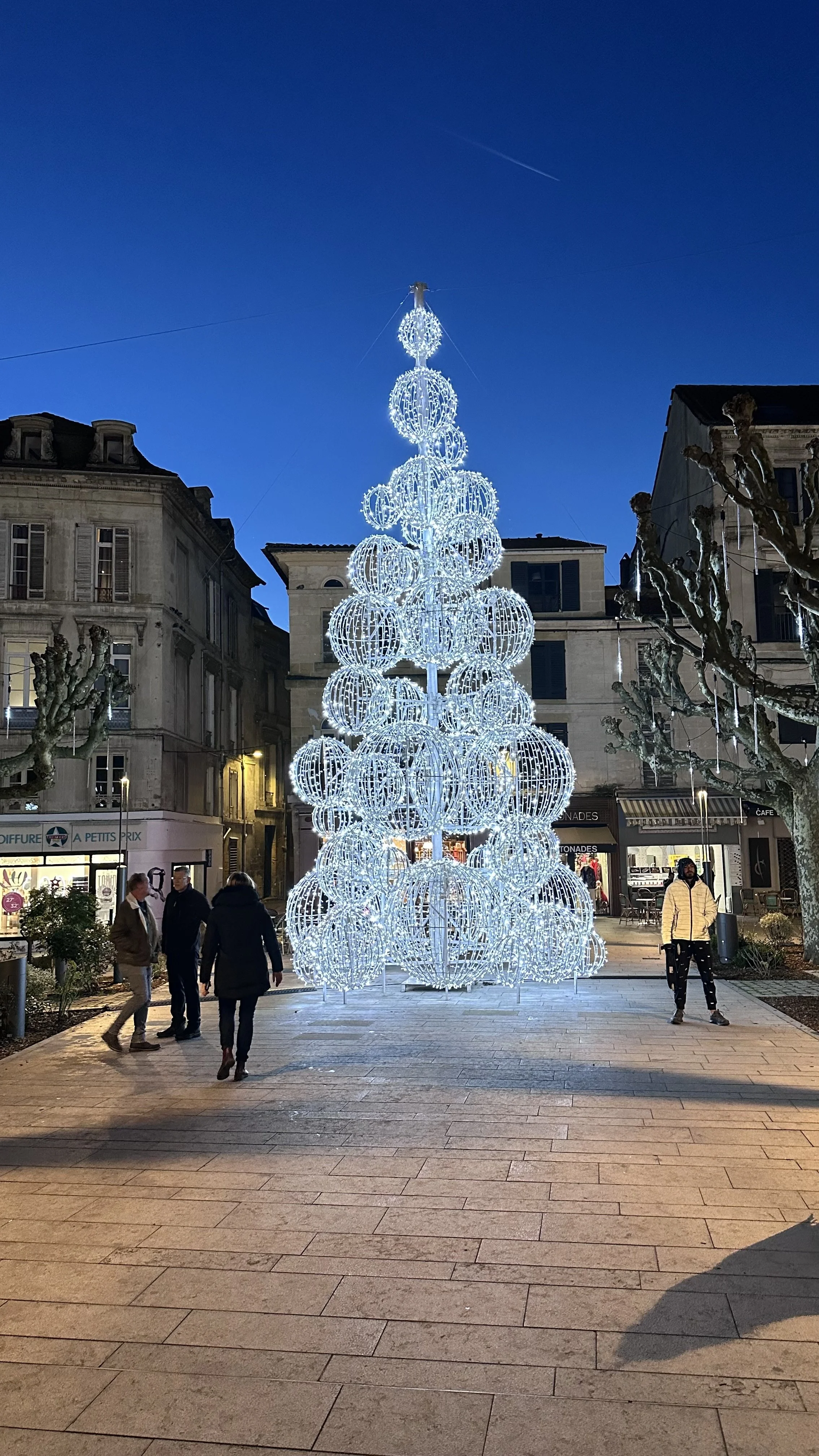 Illuminated Christmas tree in the centre of Bergerac, outside the Hall de Marche.
