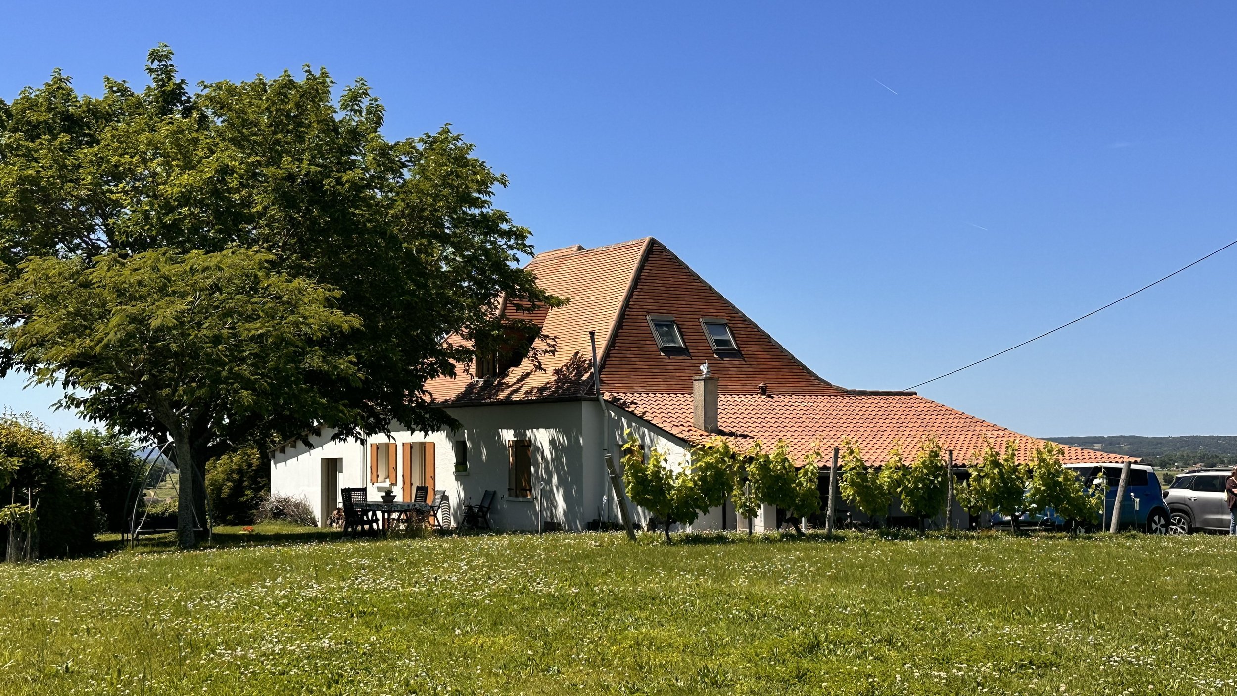 The house from top corner of the plot