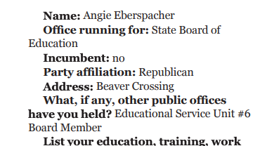 Election Q&amp;A: Seward County Independent - Angie Eberspacher