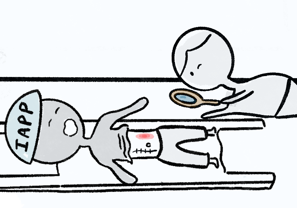 Hospital &amp; Postoperative Exam