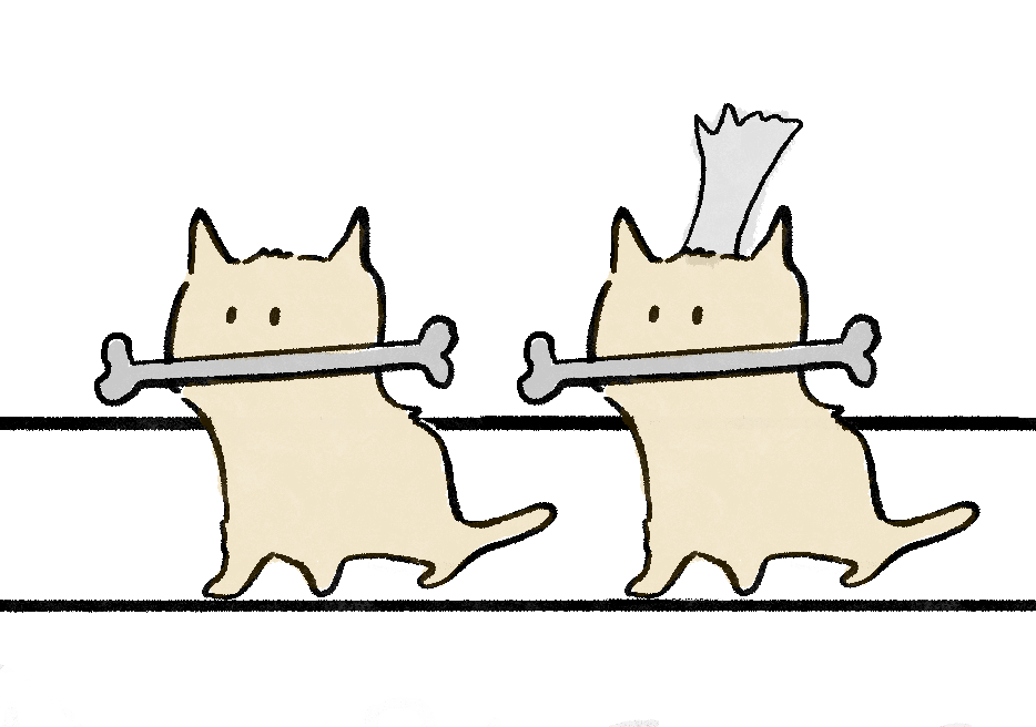 Spinal Cord Disorders