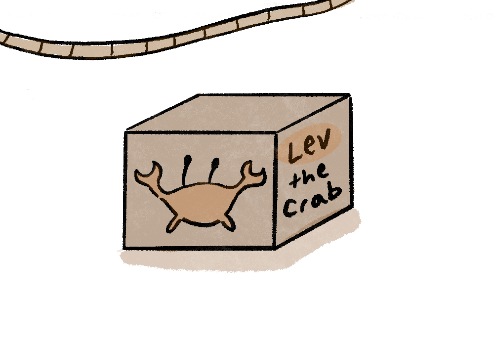 Typical &amp; Atypical Parkinson’s 