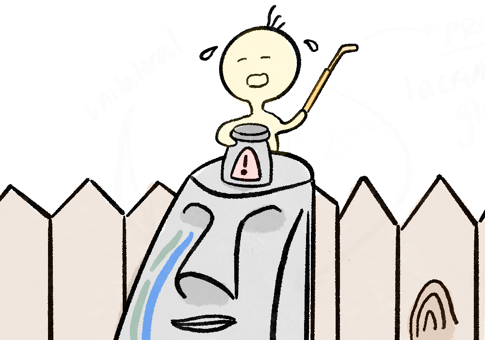 Anterior &amp; Posterior Segment