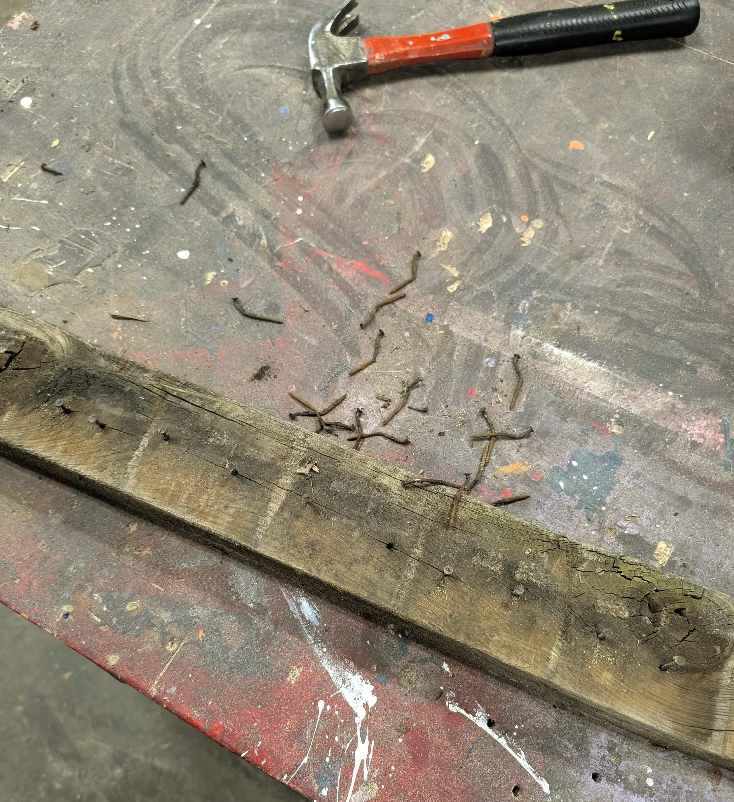 Harii SHield - 3.jpg