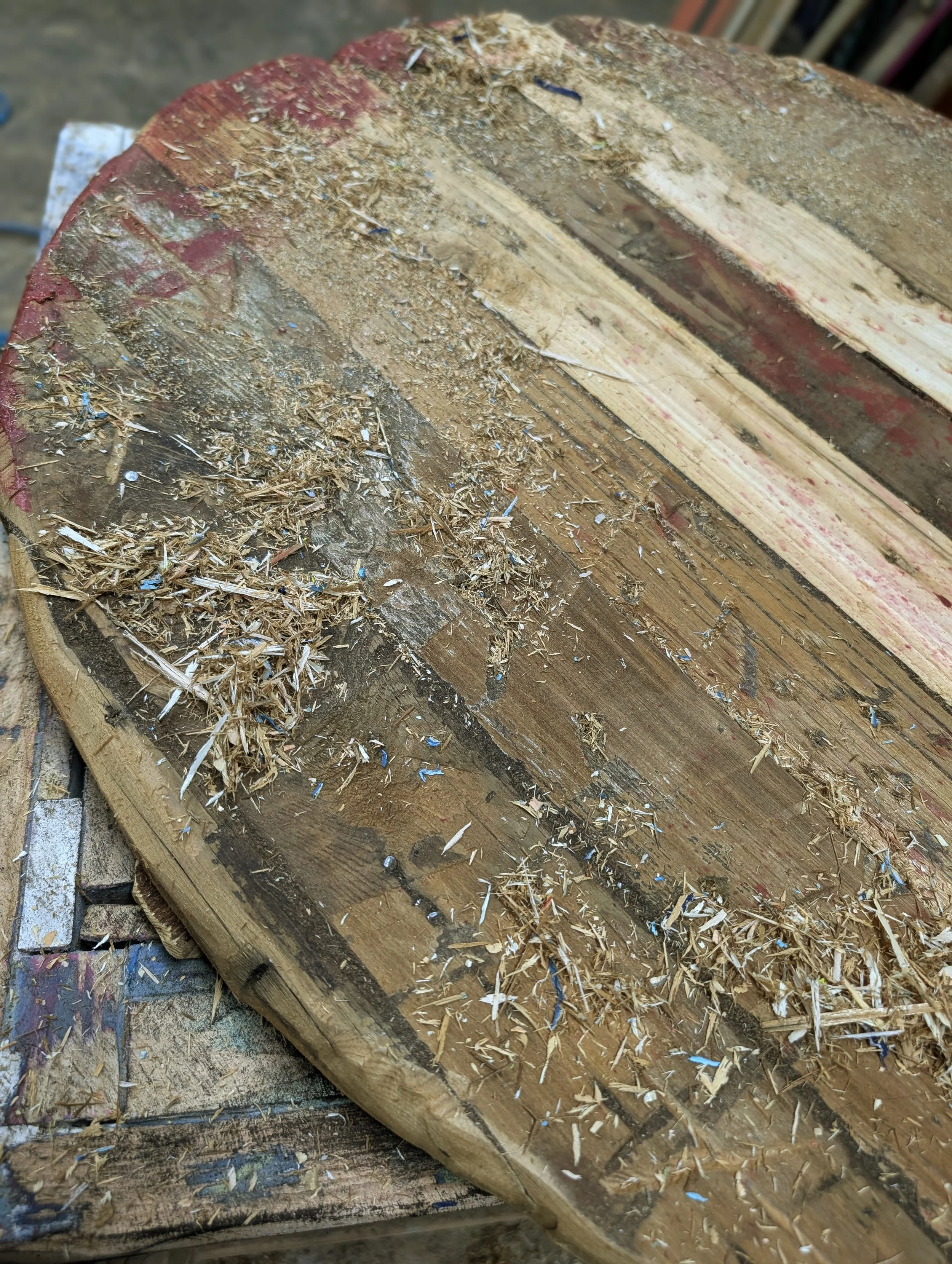 Harii Shield - 4.jpg