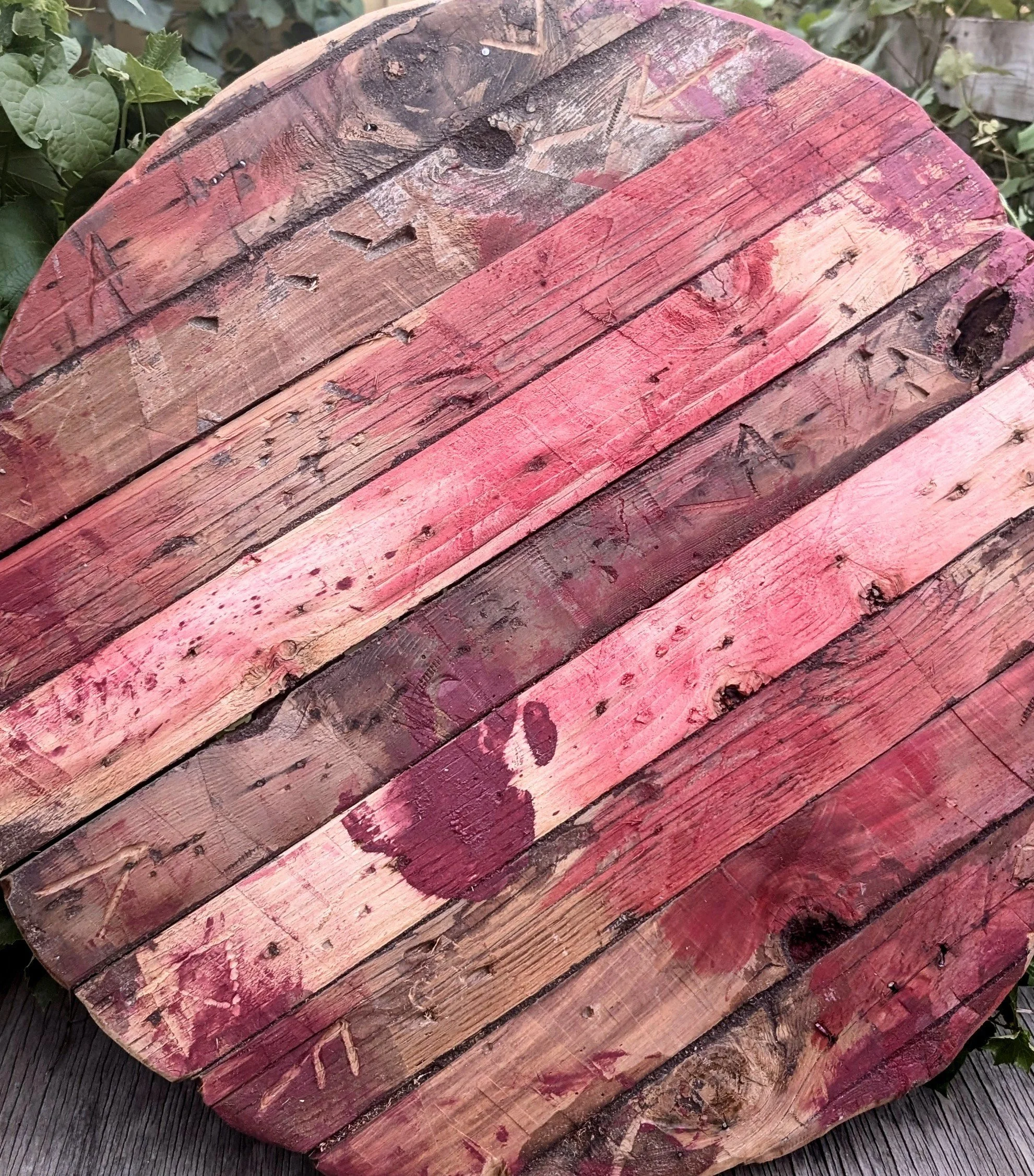 Harii Shield - 1.jpg