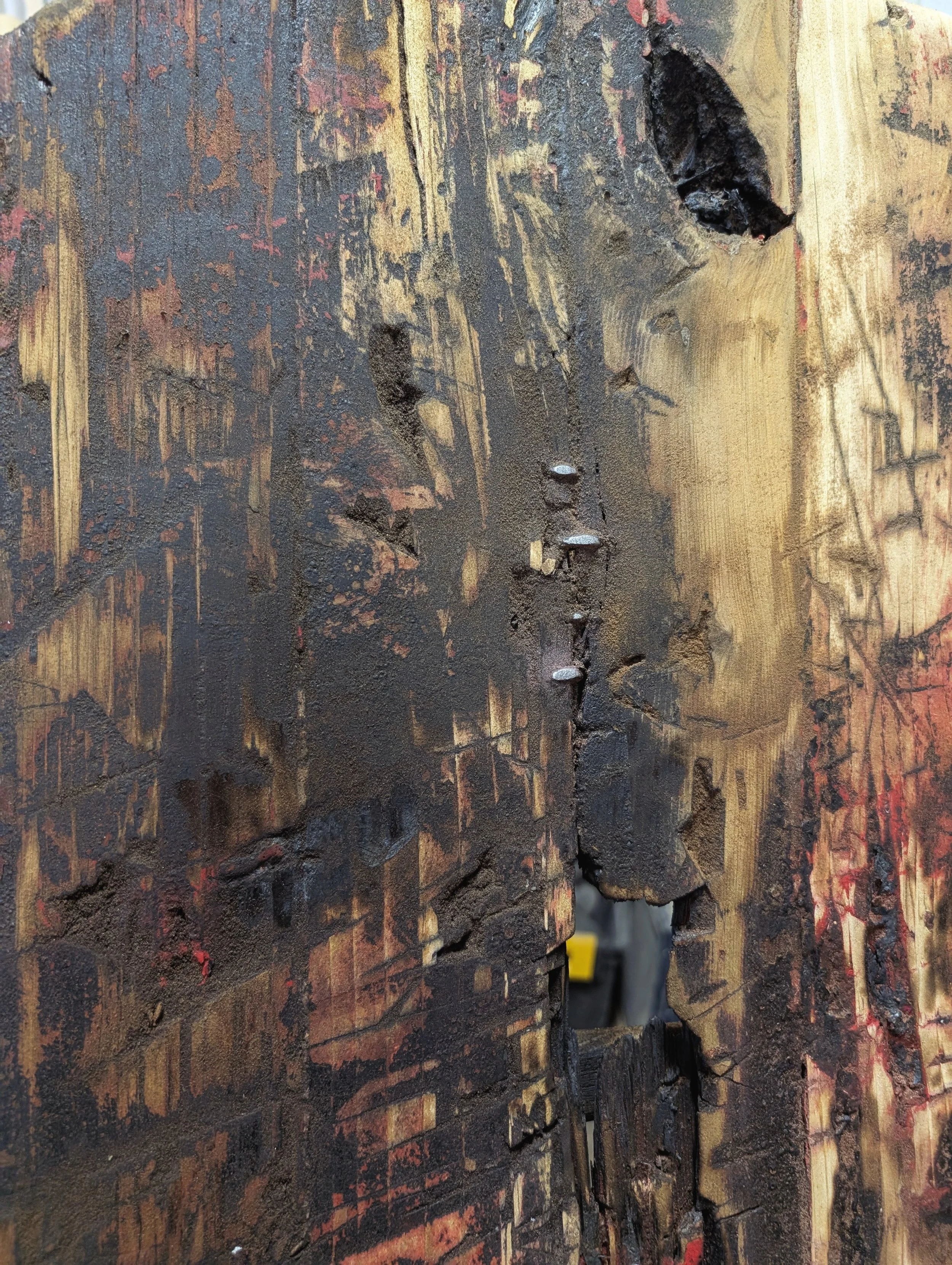 Harii Shield - 8.jpg