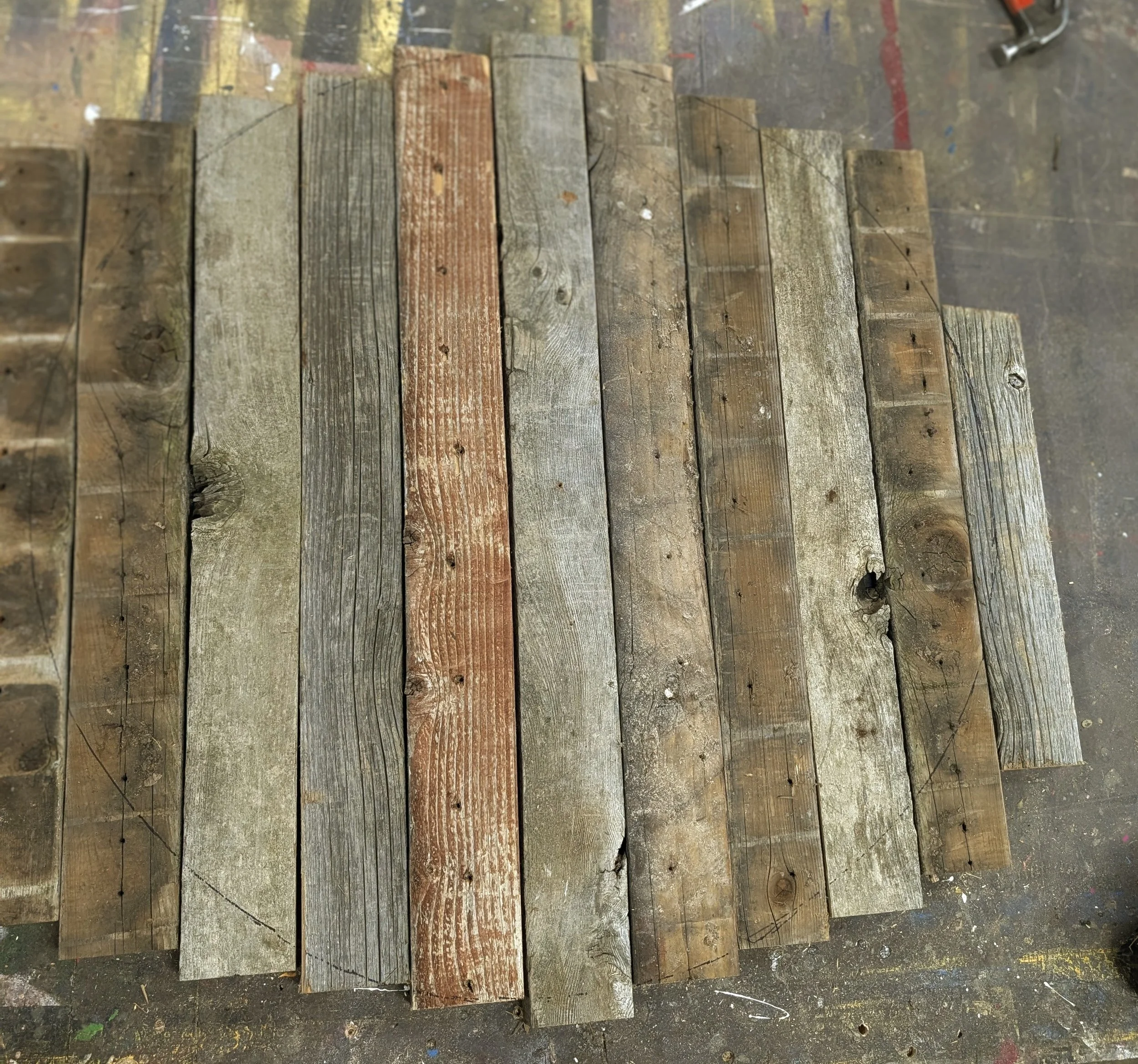 Harii Shield - 6.jpg