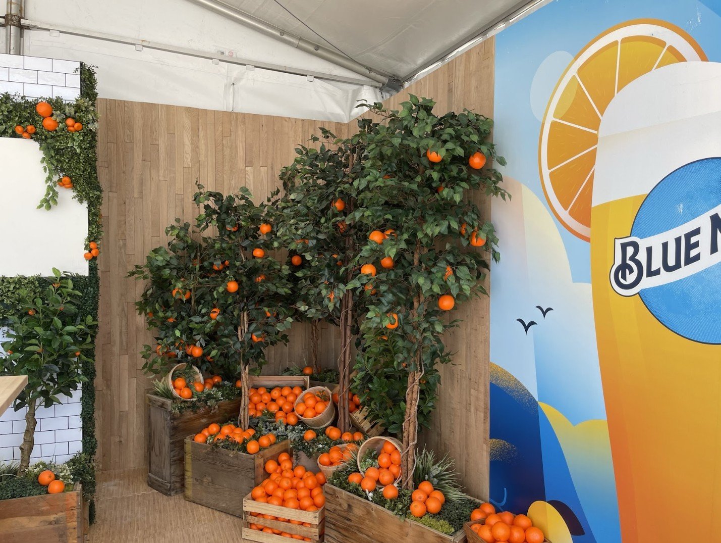 Genevive Klermund - 7.jpg