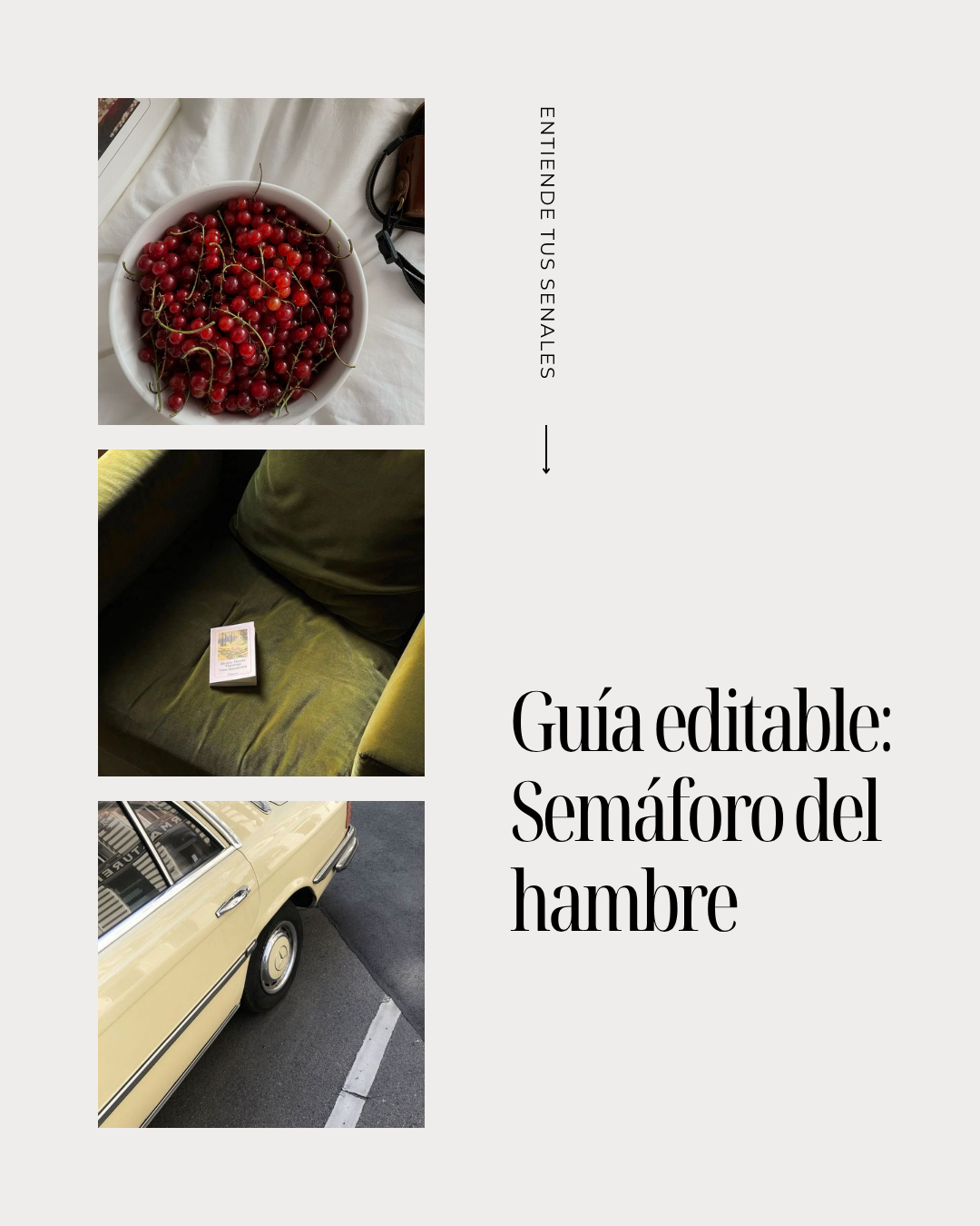 Guia Semáforo del hambre.png