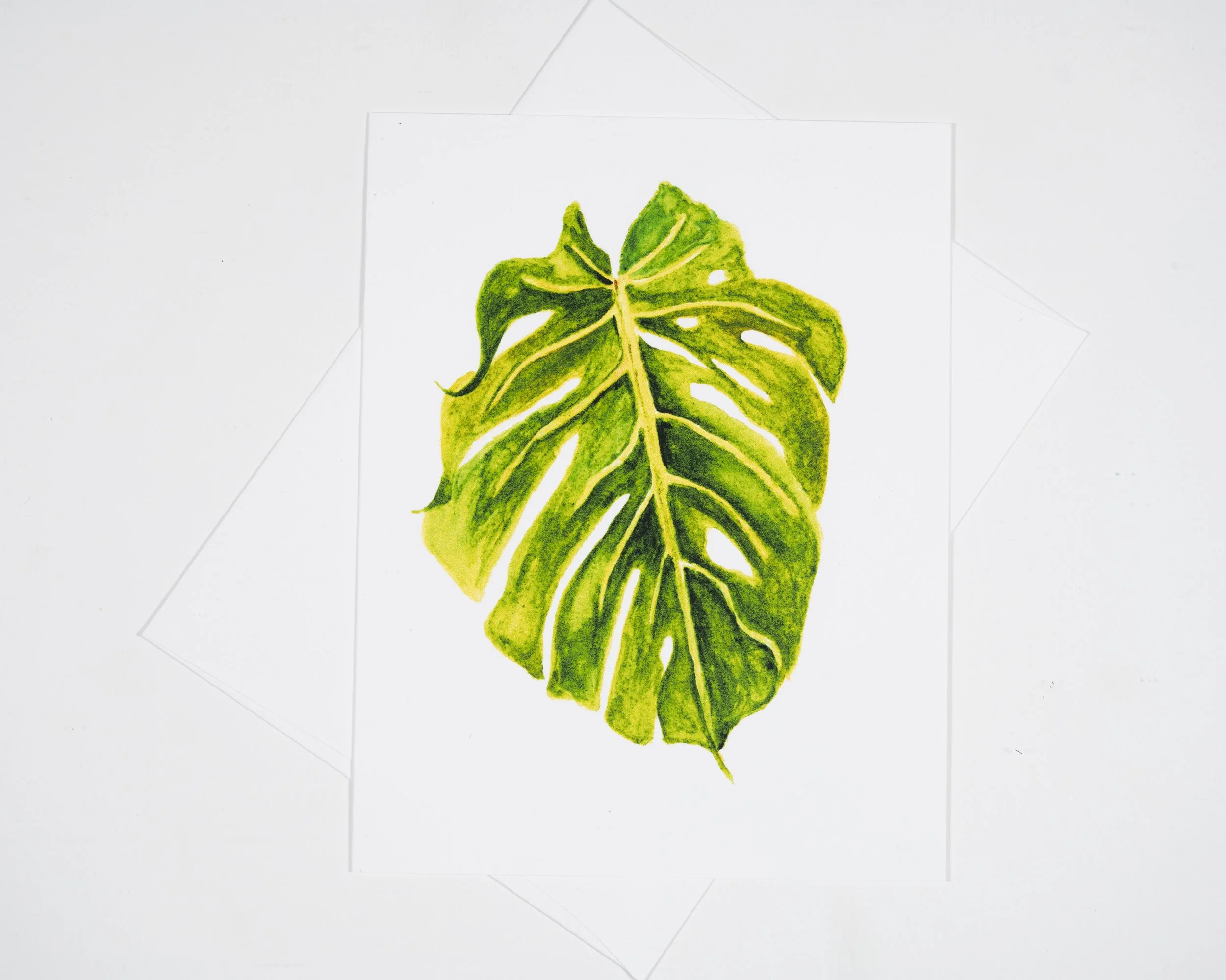 MONSTERA LEAF