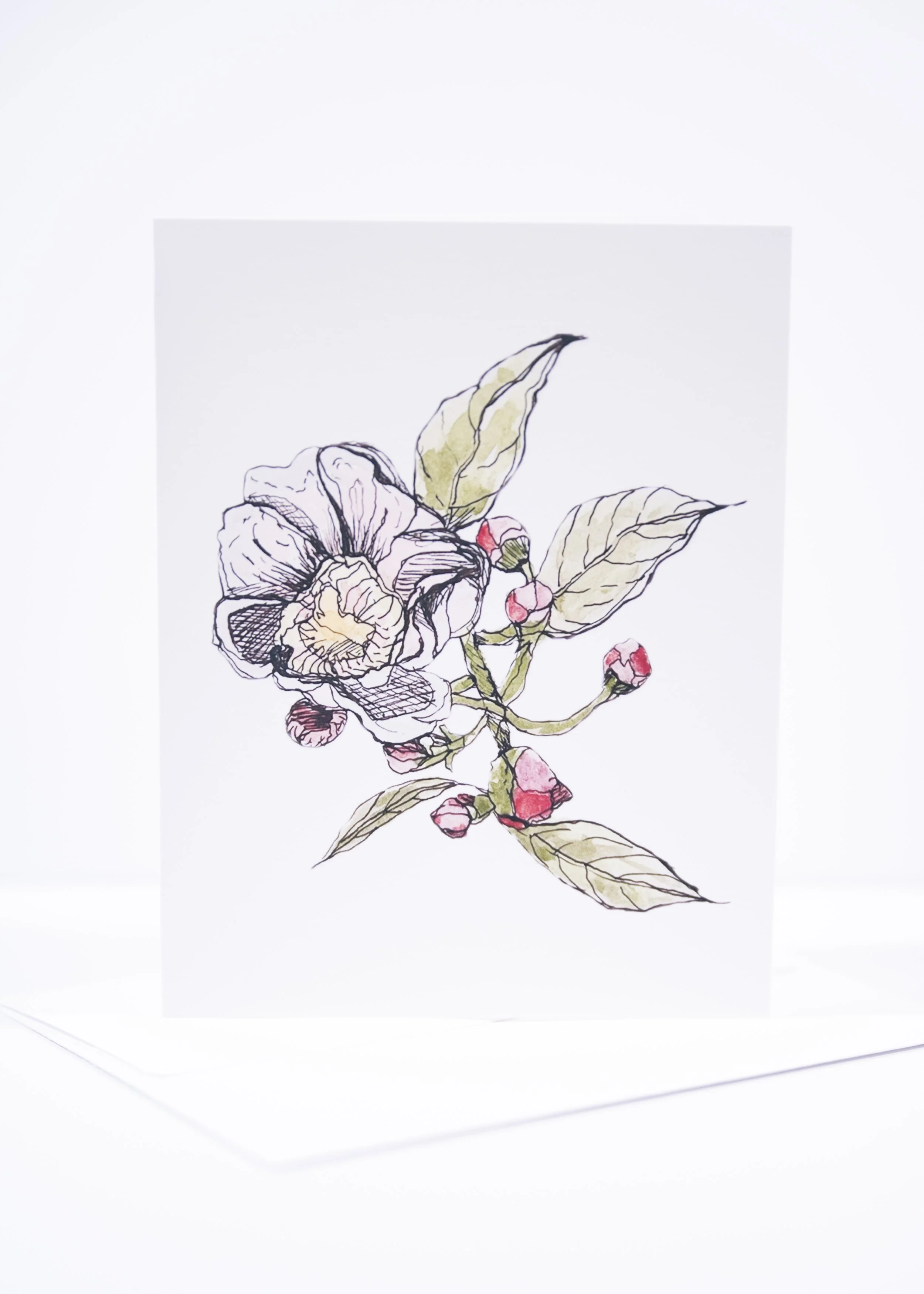 P&I W-ENVELOPES 0041.JPG
