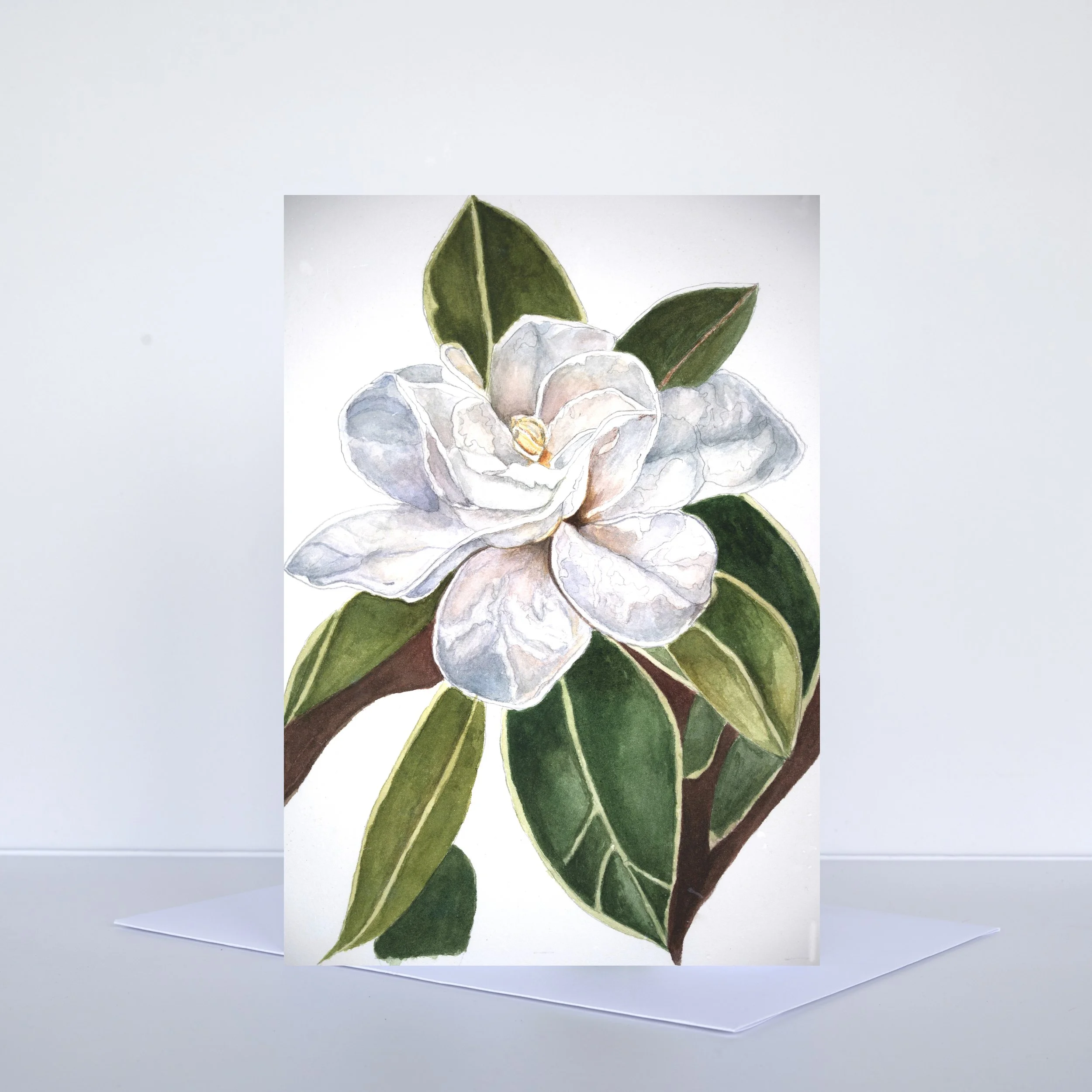 MAGNOLIA FIX copy.jpg (Copy)