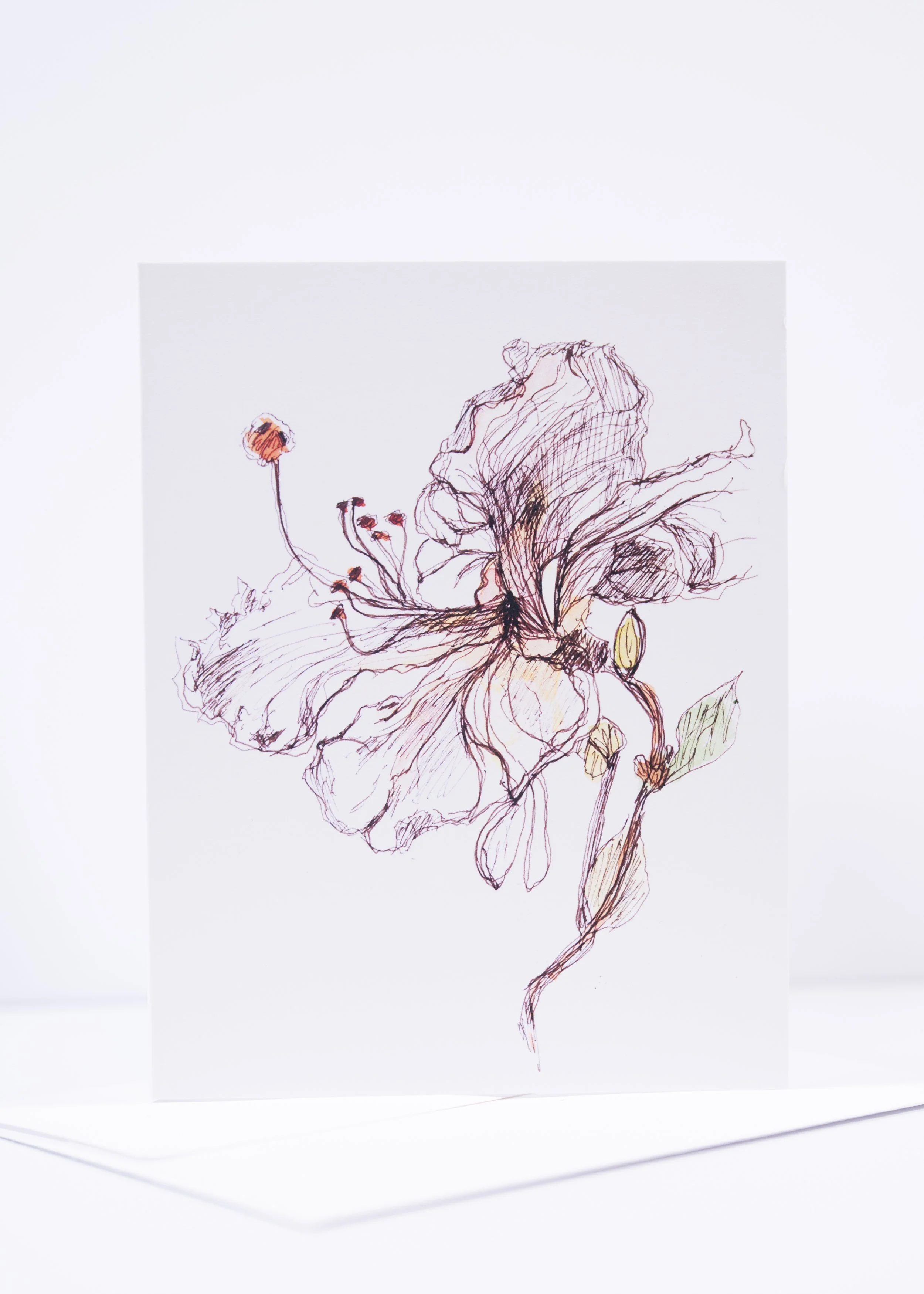 GREETING CARD / Miami Hibiscus