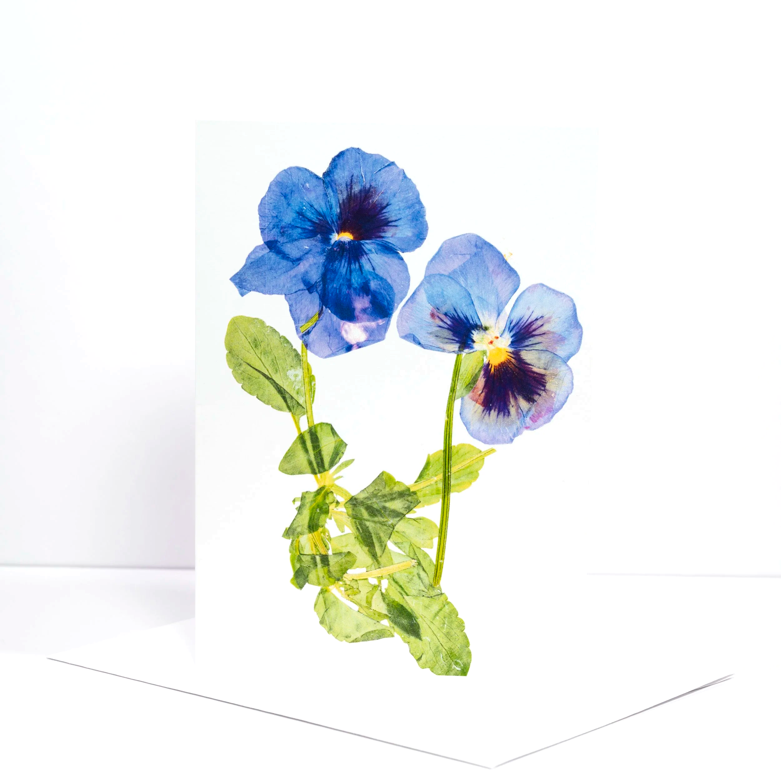 PURPLE+PANSIES.png (Copy)