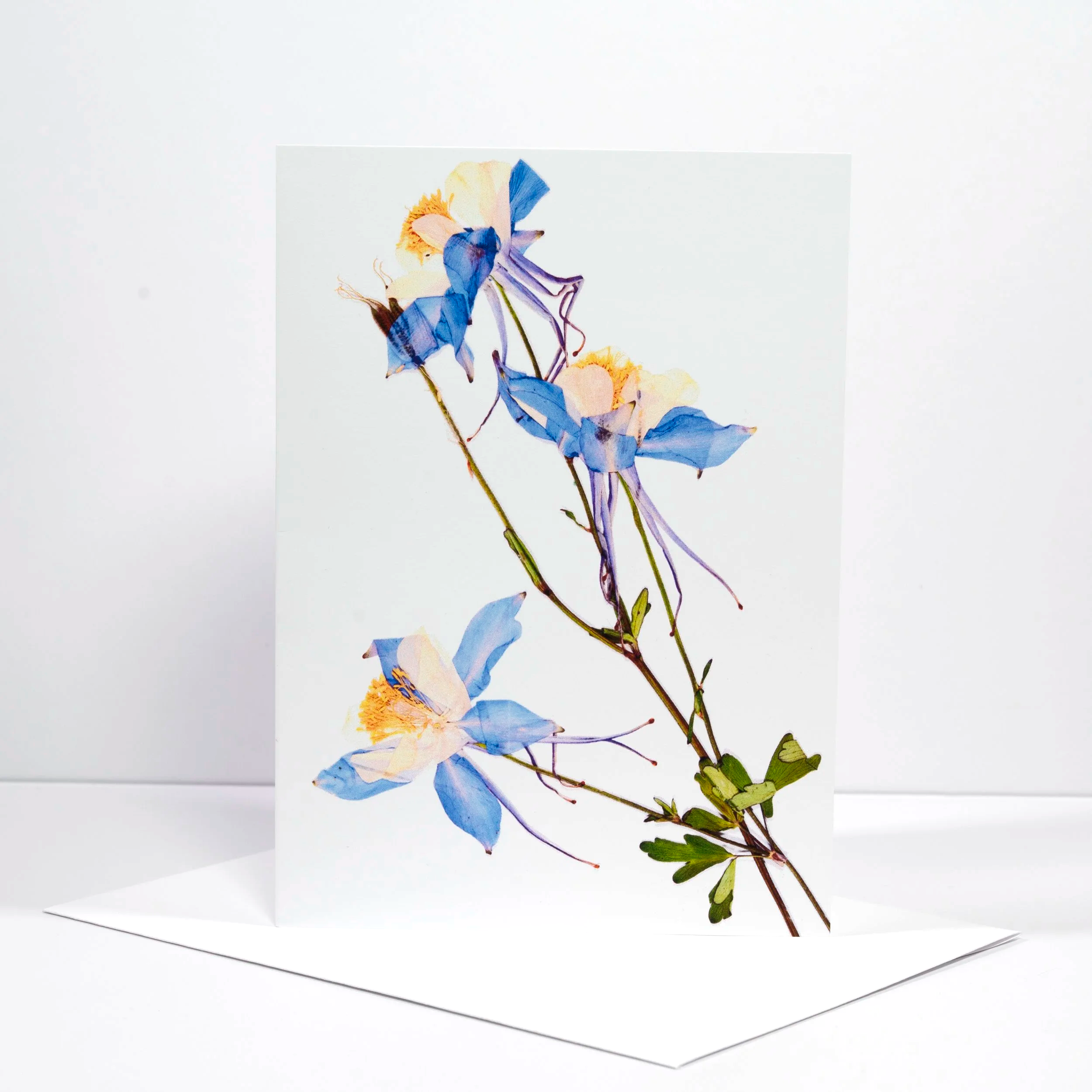 PRESSED+THREE+COLUMBINES.png (Copy)