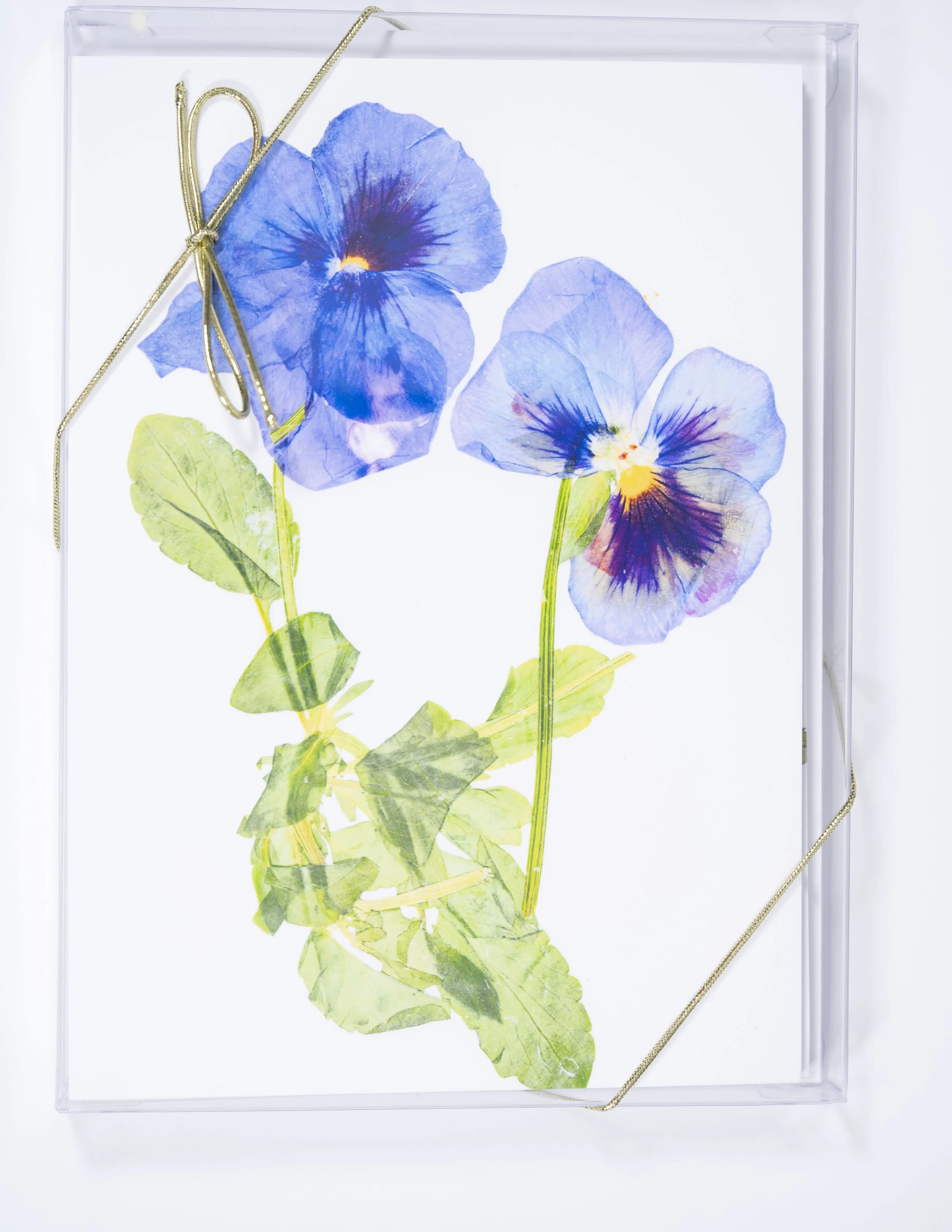 EVERGREEEN / Artisan Pressed Flower Greeting Card Gift Set