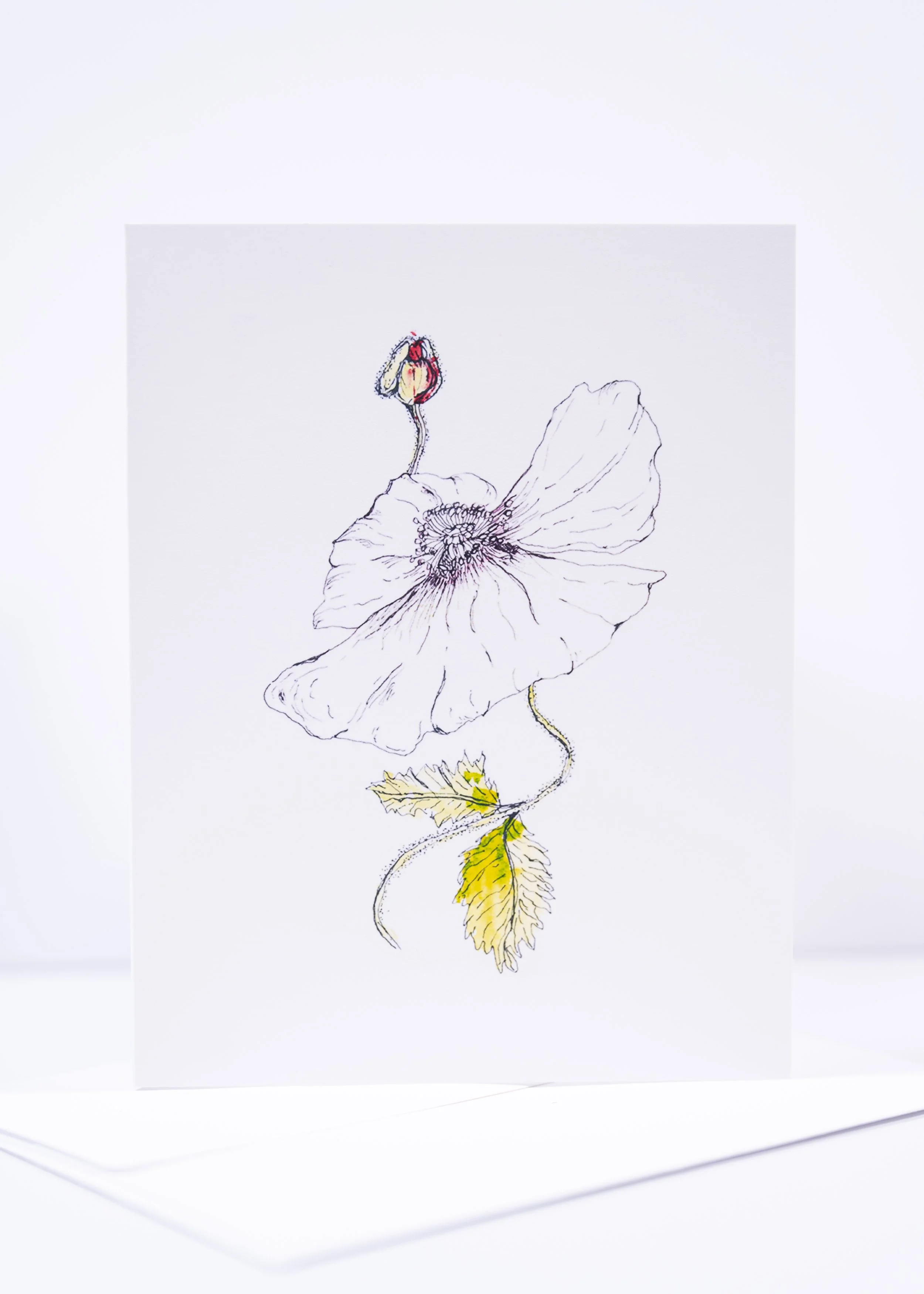 GREETING CARD / Poppy Bud