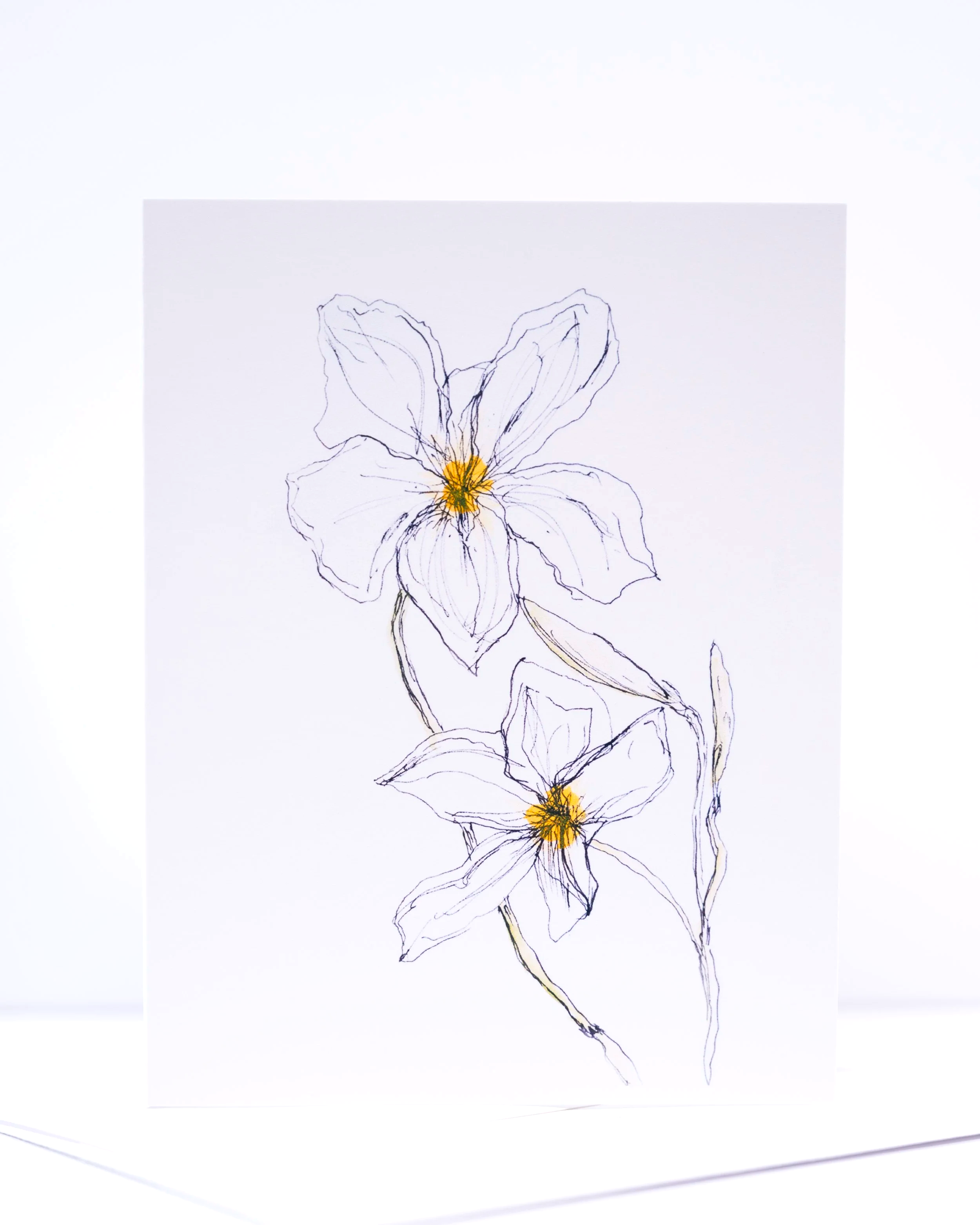 NEW+COPY+STAND+IMAGES+++0092+.png (Copy)