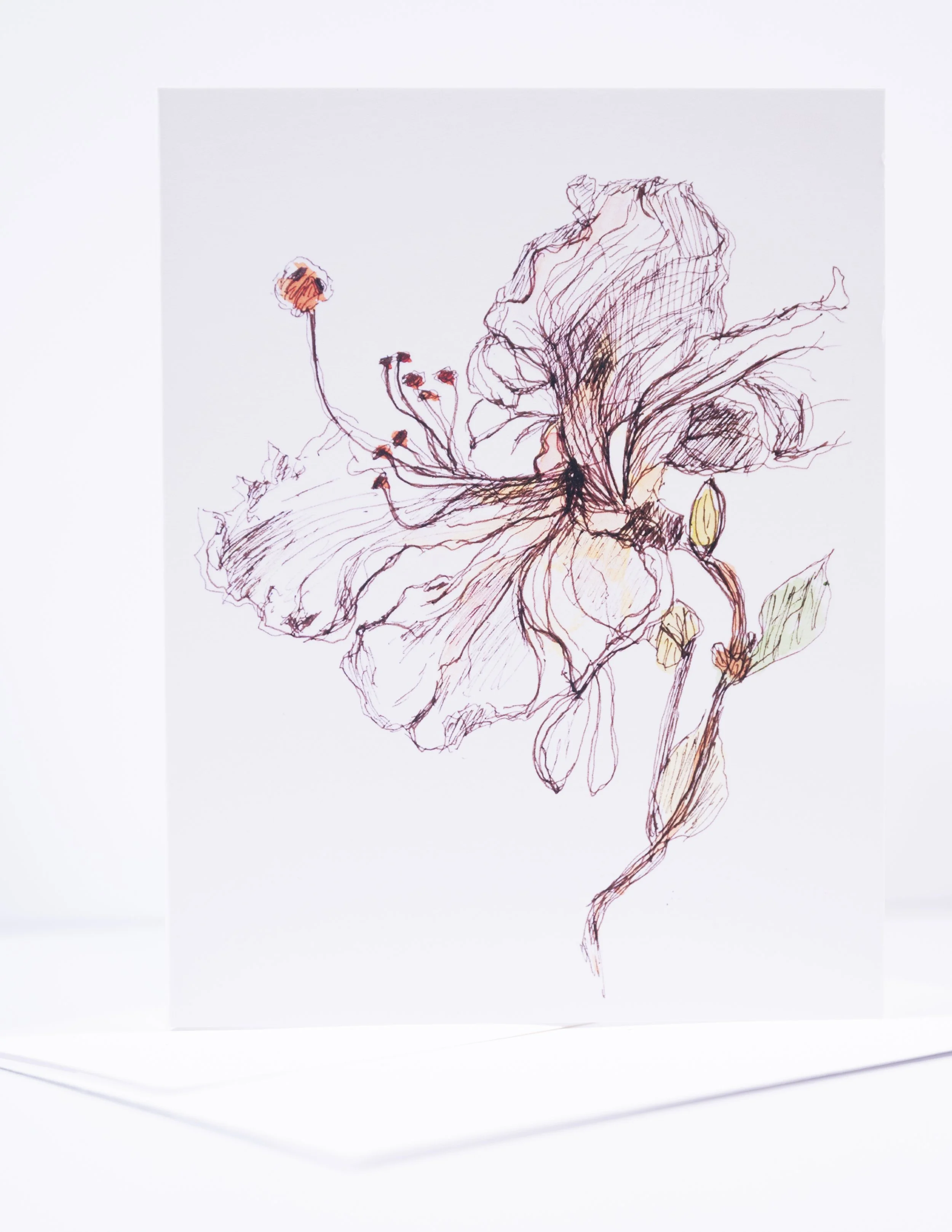 NEW COPY STAND IMAGES   0062 .JPG