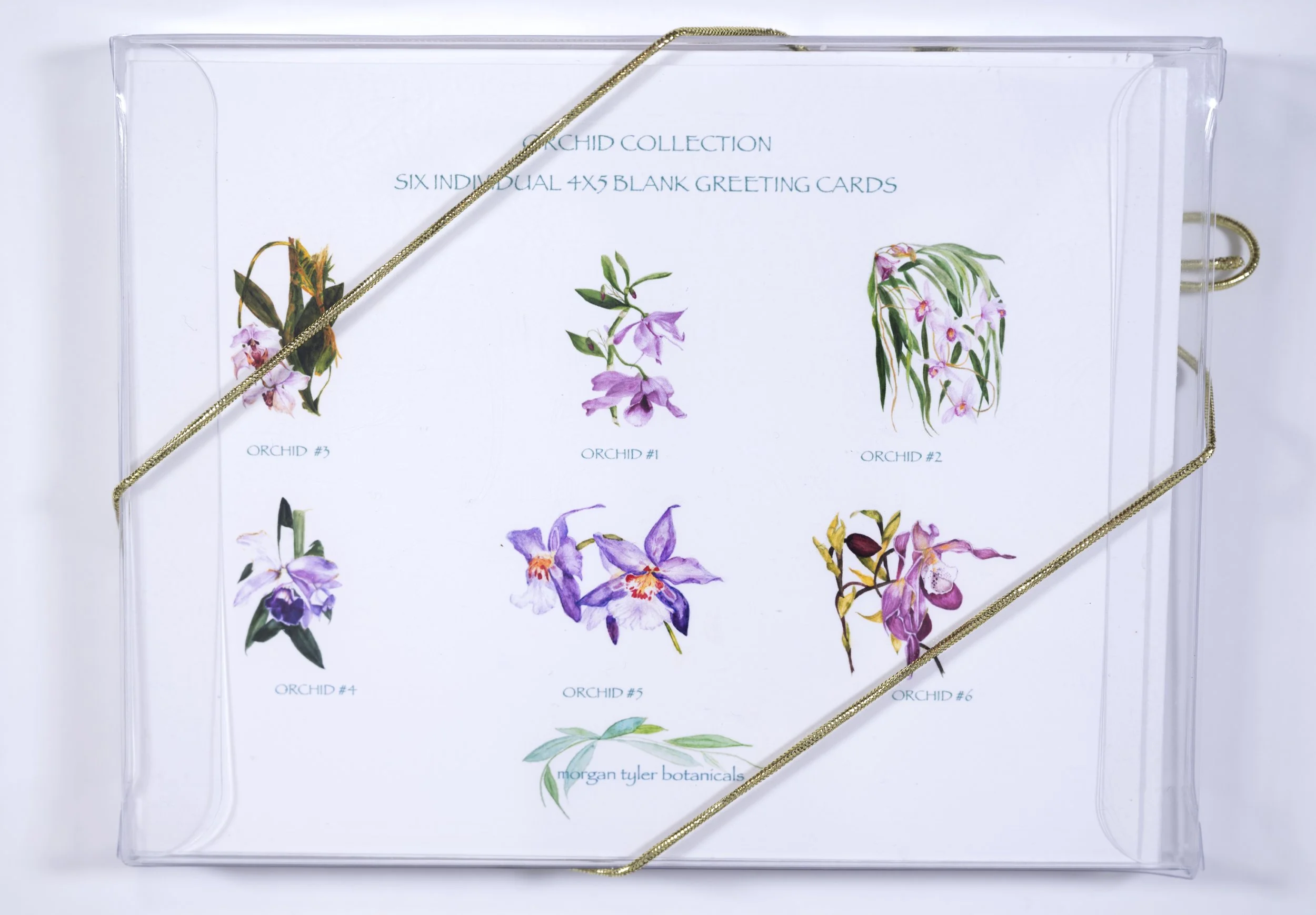 ORCHID COLLECTION / Six Individual Greeting Cards