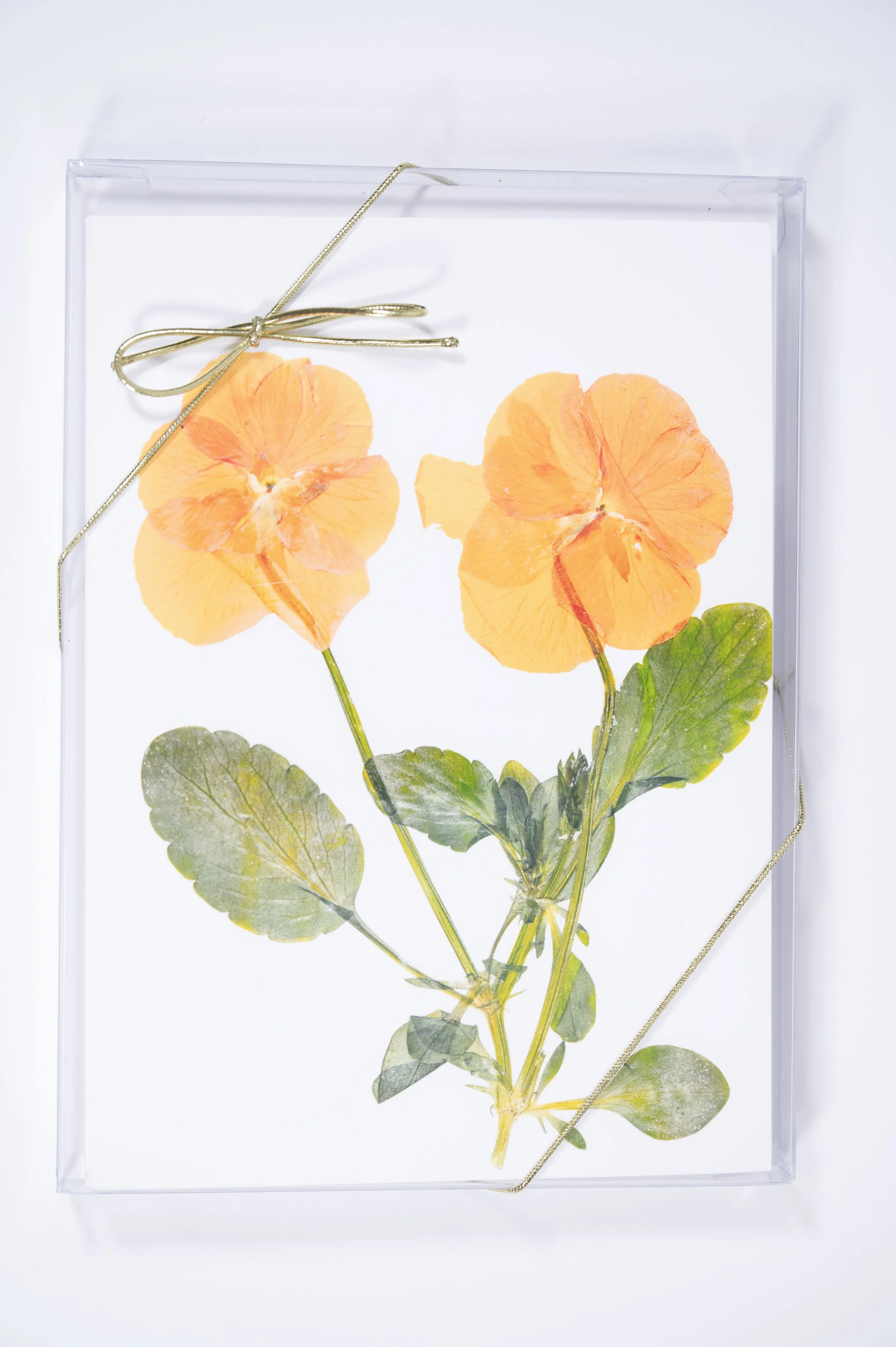SILVERTON / Elegant Pressed Flower Notecard Set