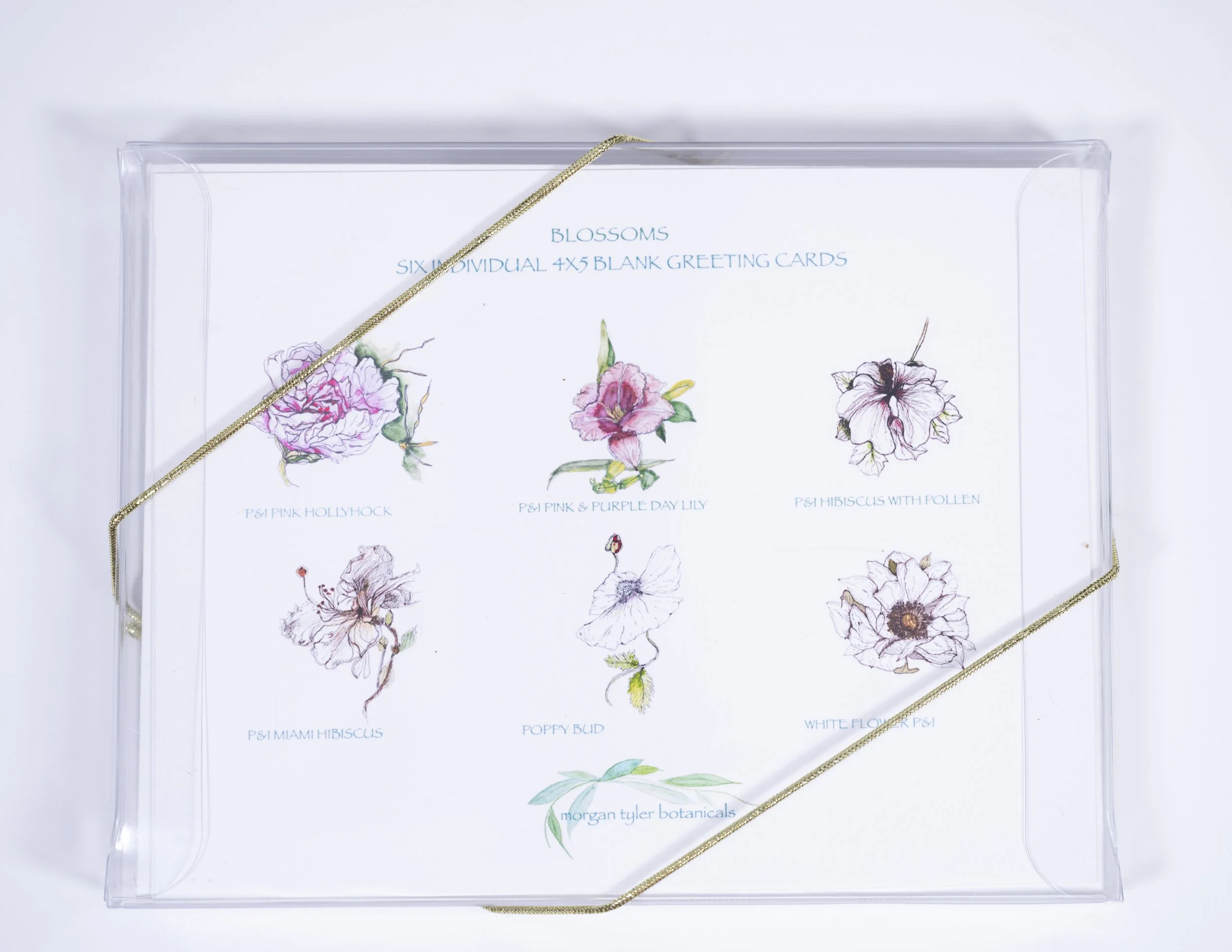 150 dpi P&I blossoms box back.jpg