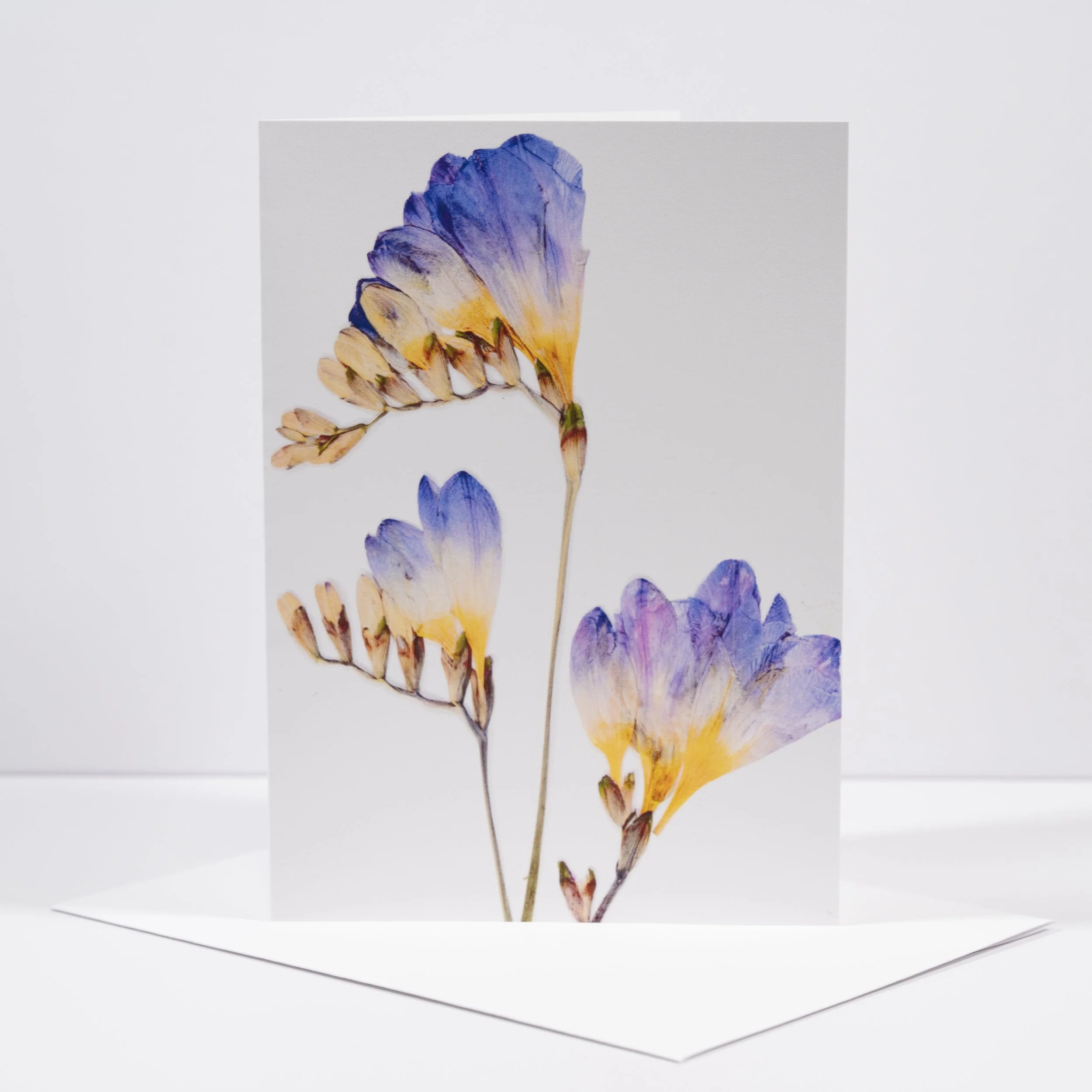 PRESSED FRESIA CARD    0001.JPG