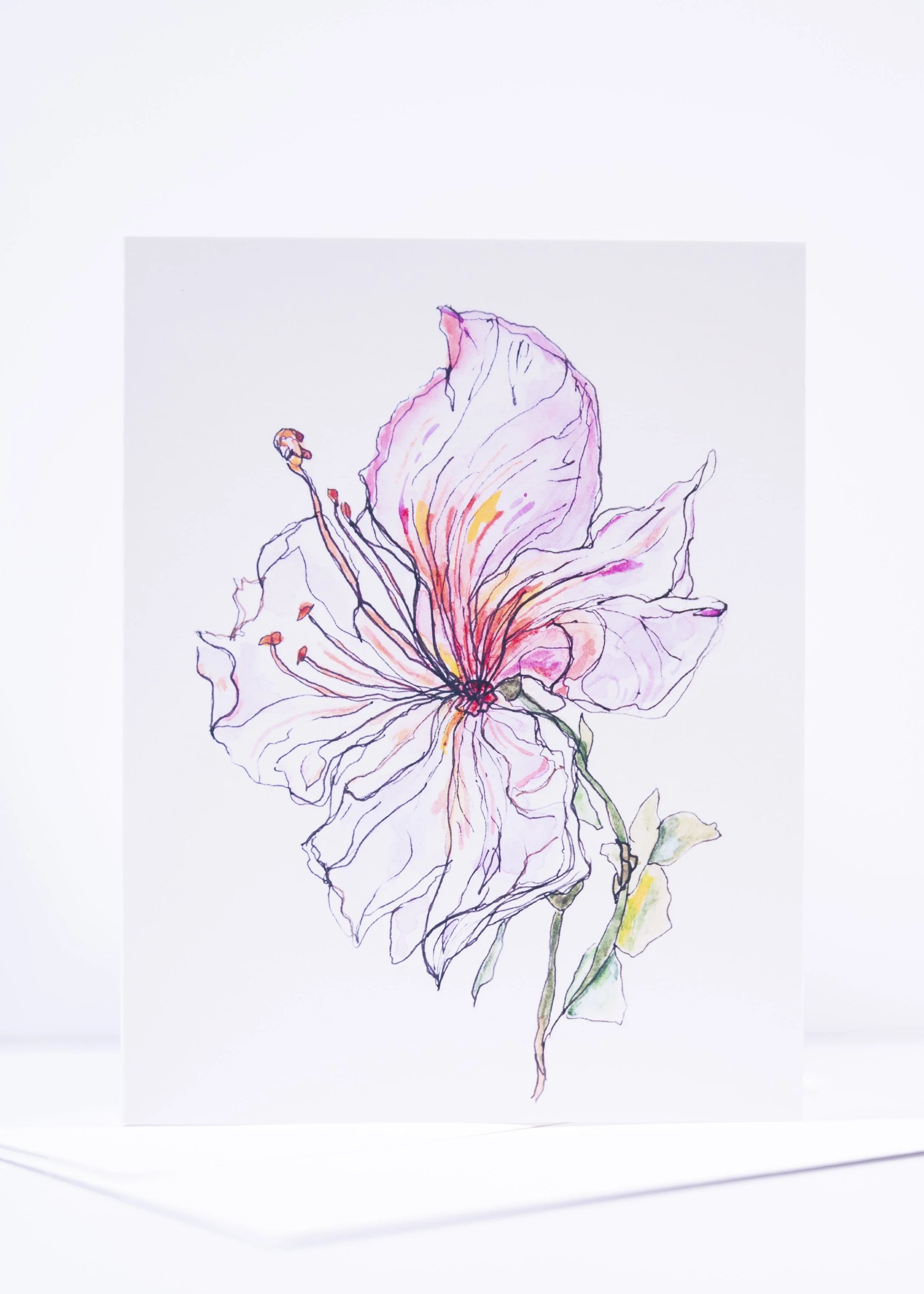 GREETING CARD / Pen & Ink Tropical Hibiscus
