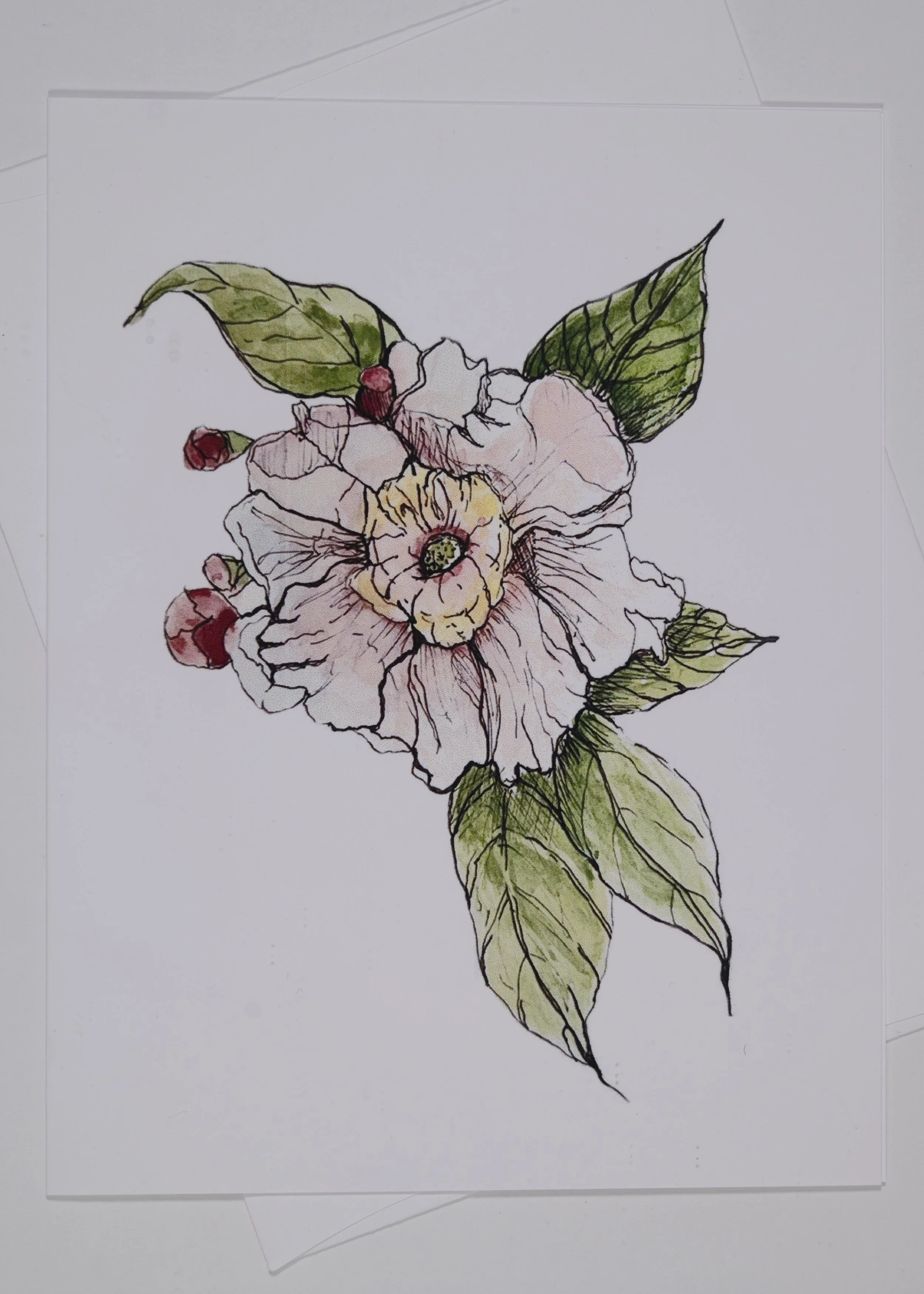 Pen & Ink Flower & Bud