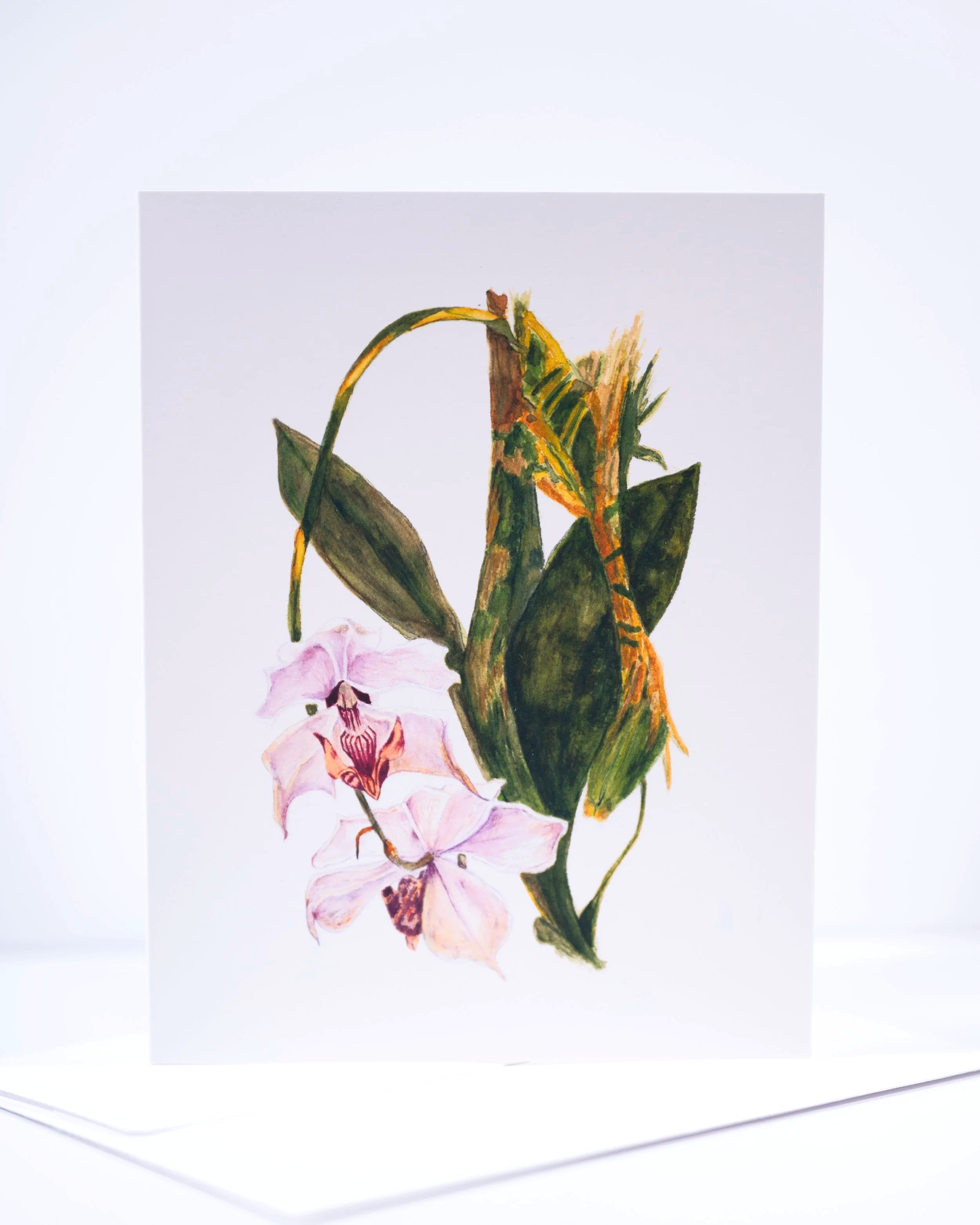 NEW+COPY+STAND+IMAGES+++0032+.png