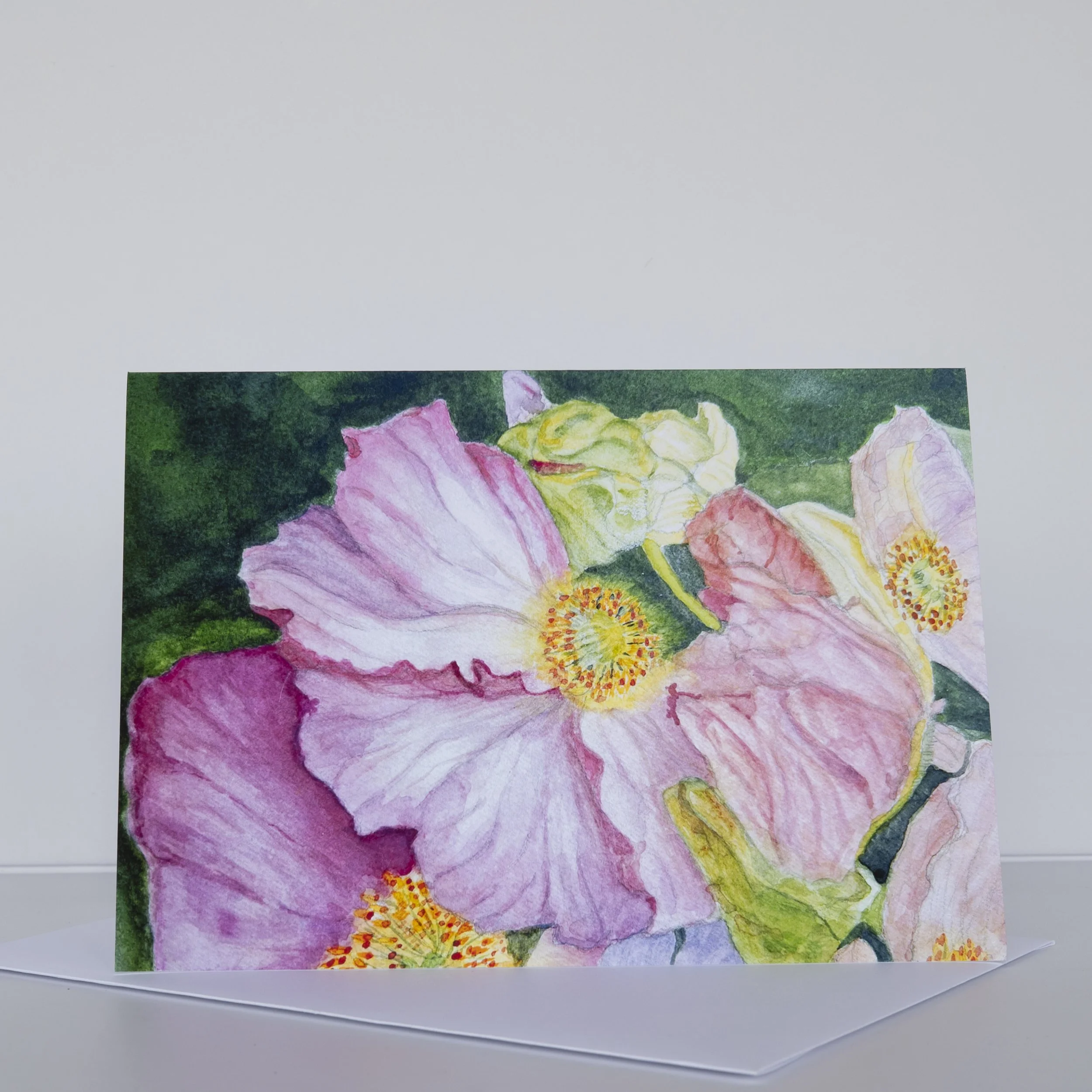 NATURAL LIGHT CARD JPGS   0021.JPG (Copy)