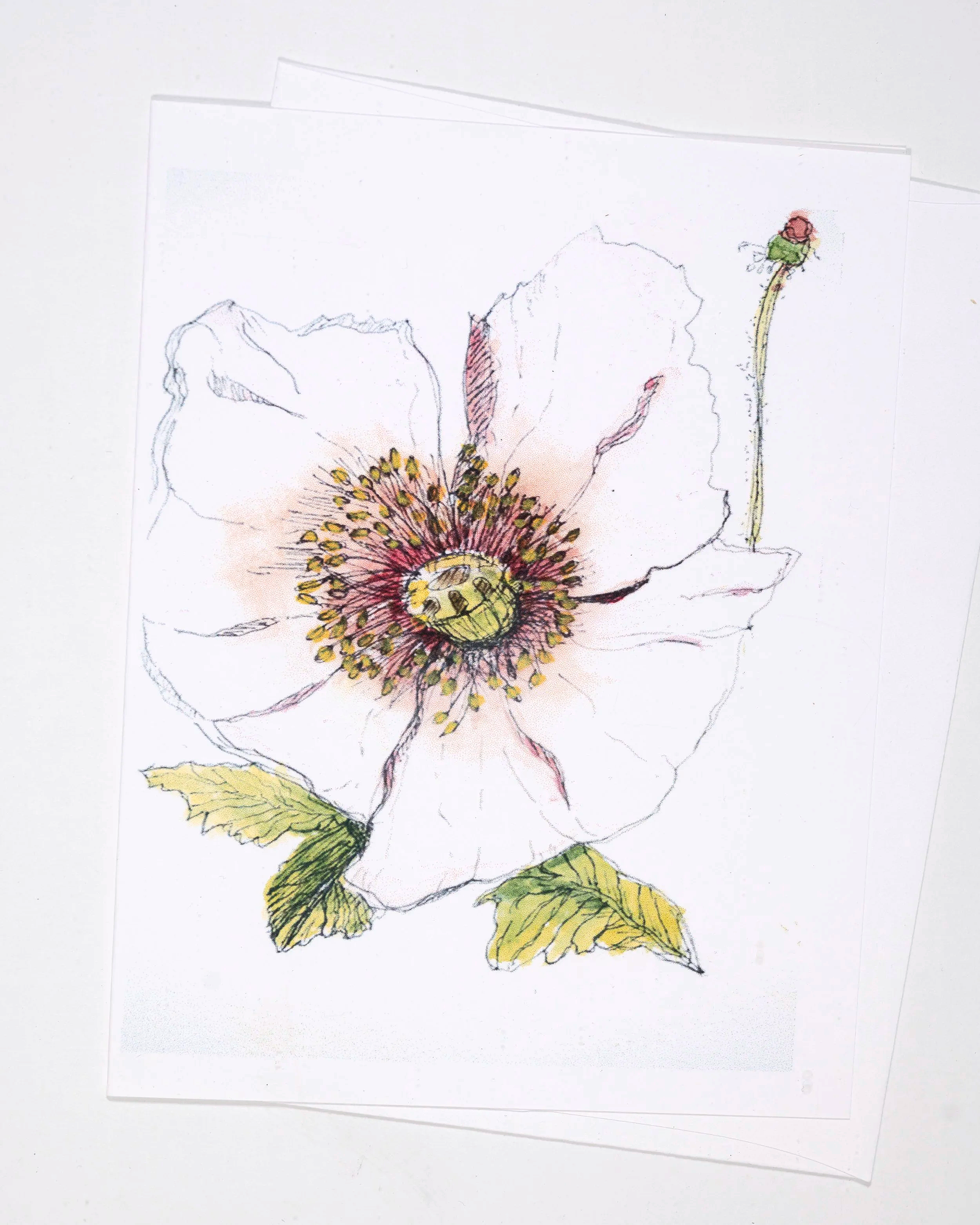 4x5+GREETING+-0056.png
