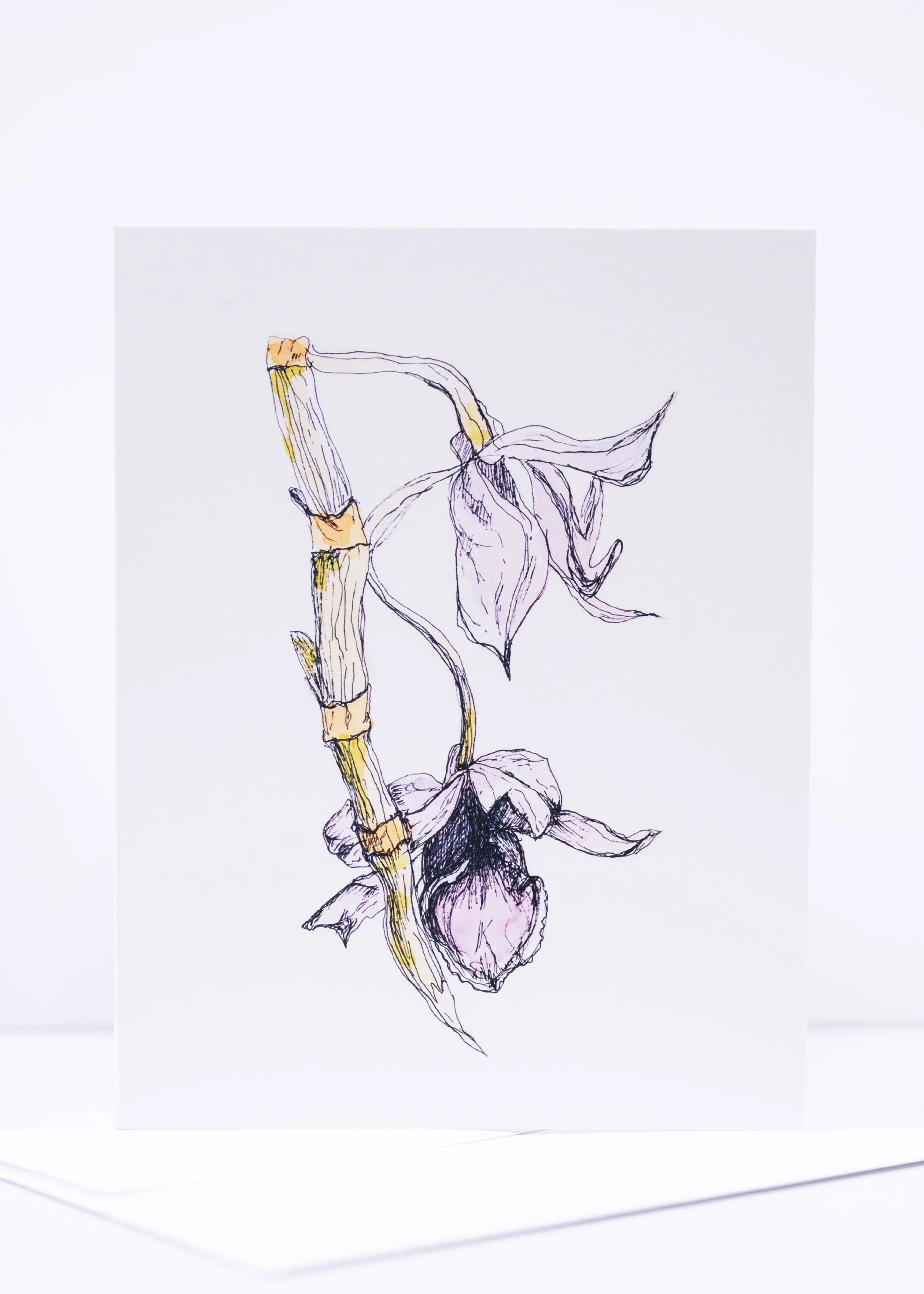 GREETING CARD / Pen & Ink Purple Orchid