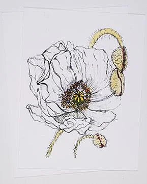 WHITE POPPY P&I