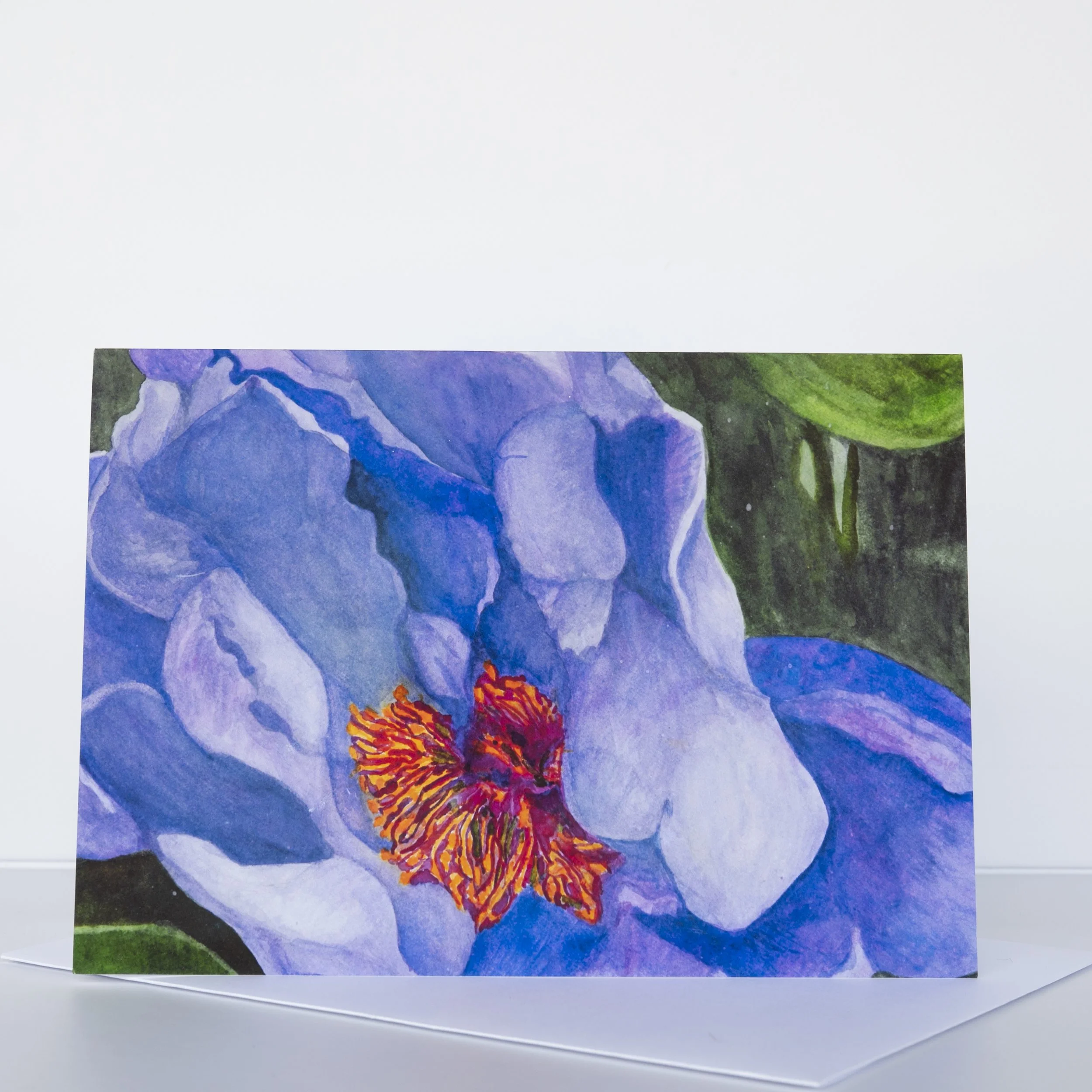 NATURAL LIGHT CARD JPGS   0007.JPG