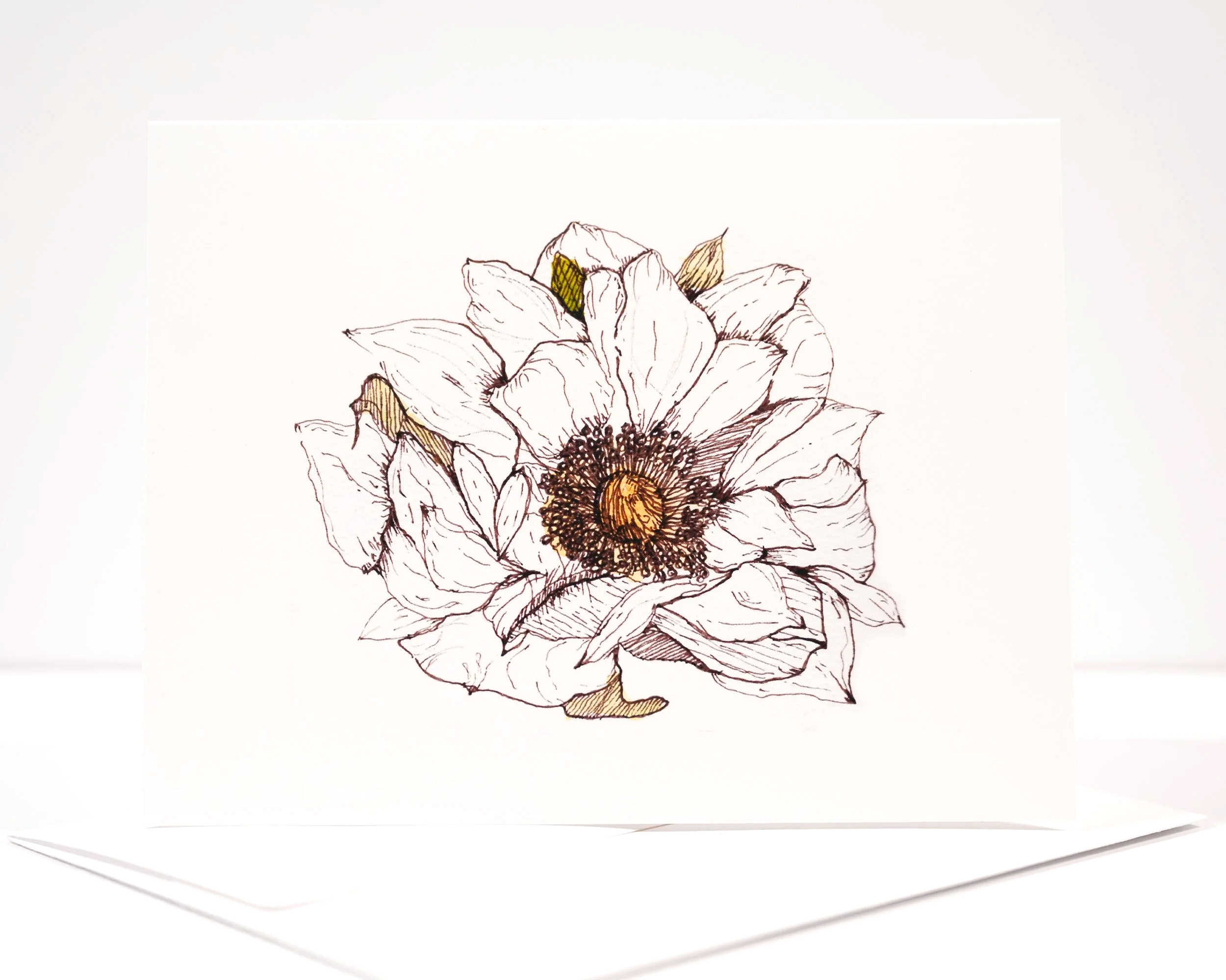 NEW+COPY+STAND+IMAGES+++0145+.png (Copy)