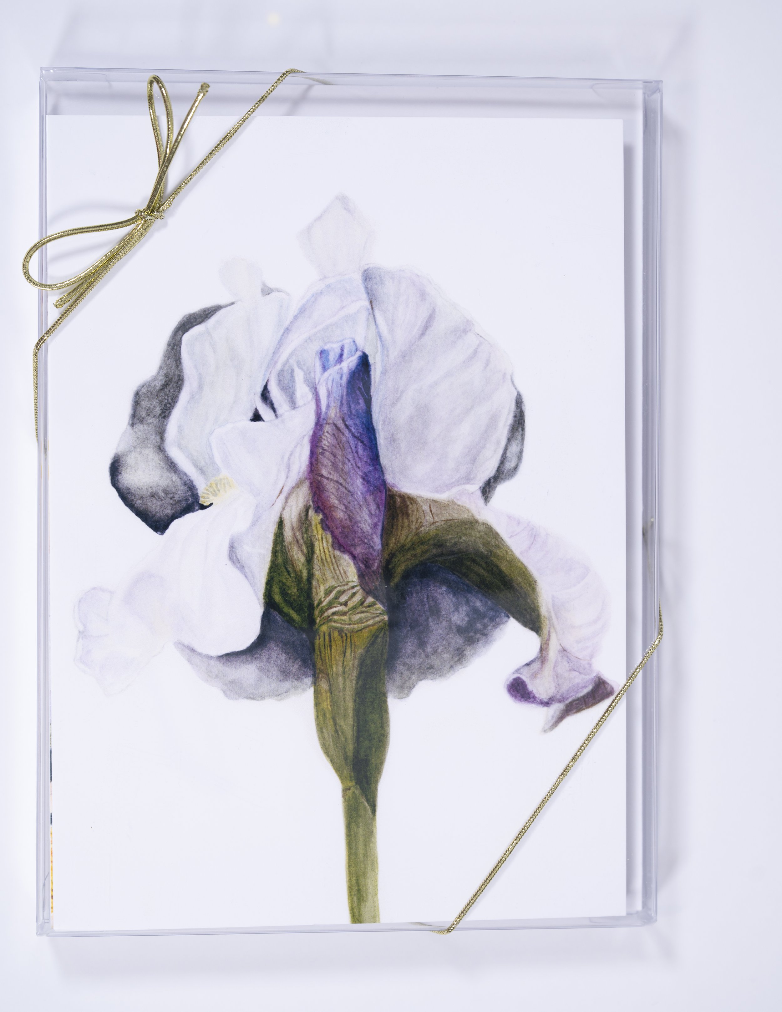 150 DPI IRIS.jpg (Copy)